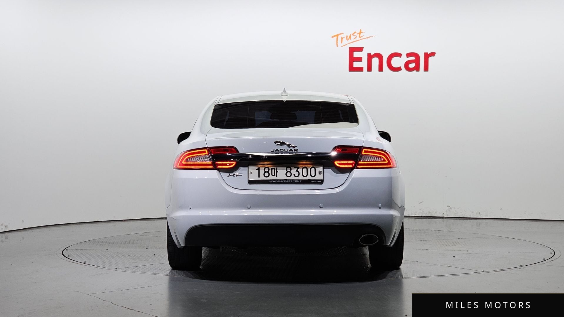Jaguar New XF 2015 — миниатюра 4