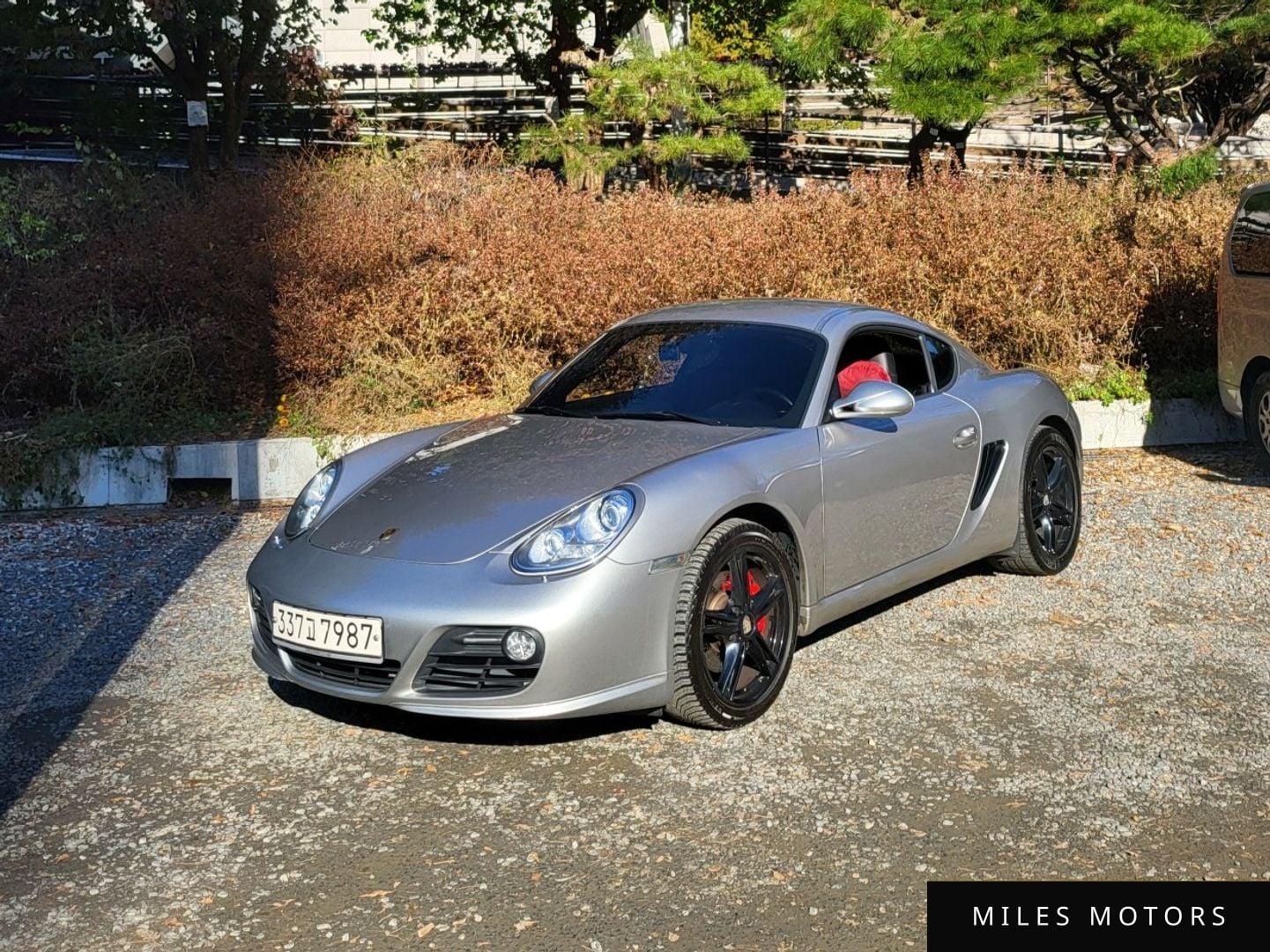 Porsche Cayman 2011