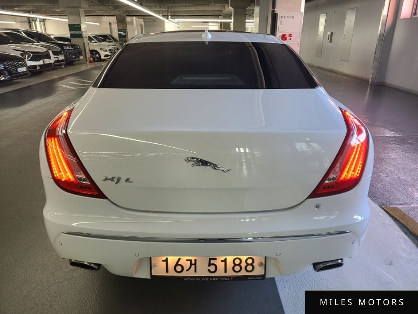 Jaguar All New XJ 2013 — миниатюра 6