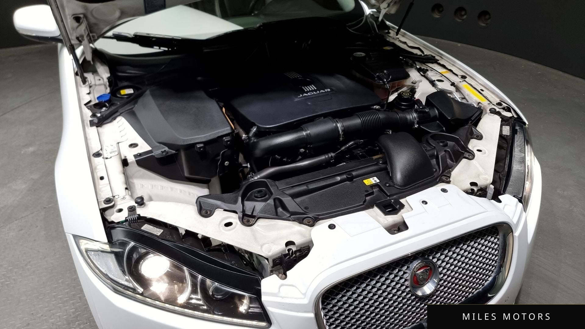Jaguar New XF 2014 — миниатюра 6