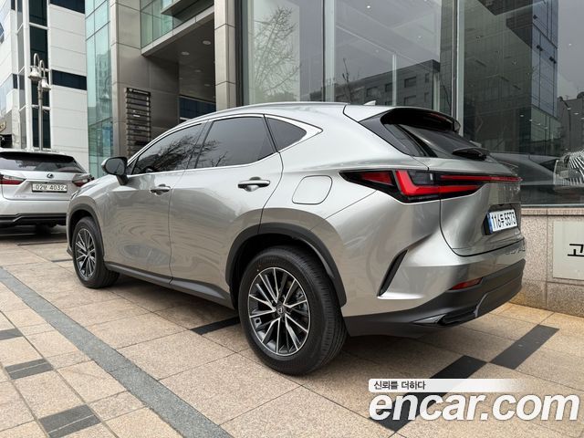 Лексус NX450h+ 2025 — миниатюра 5