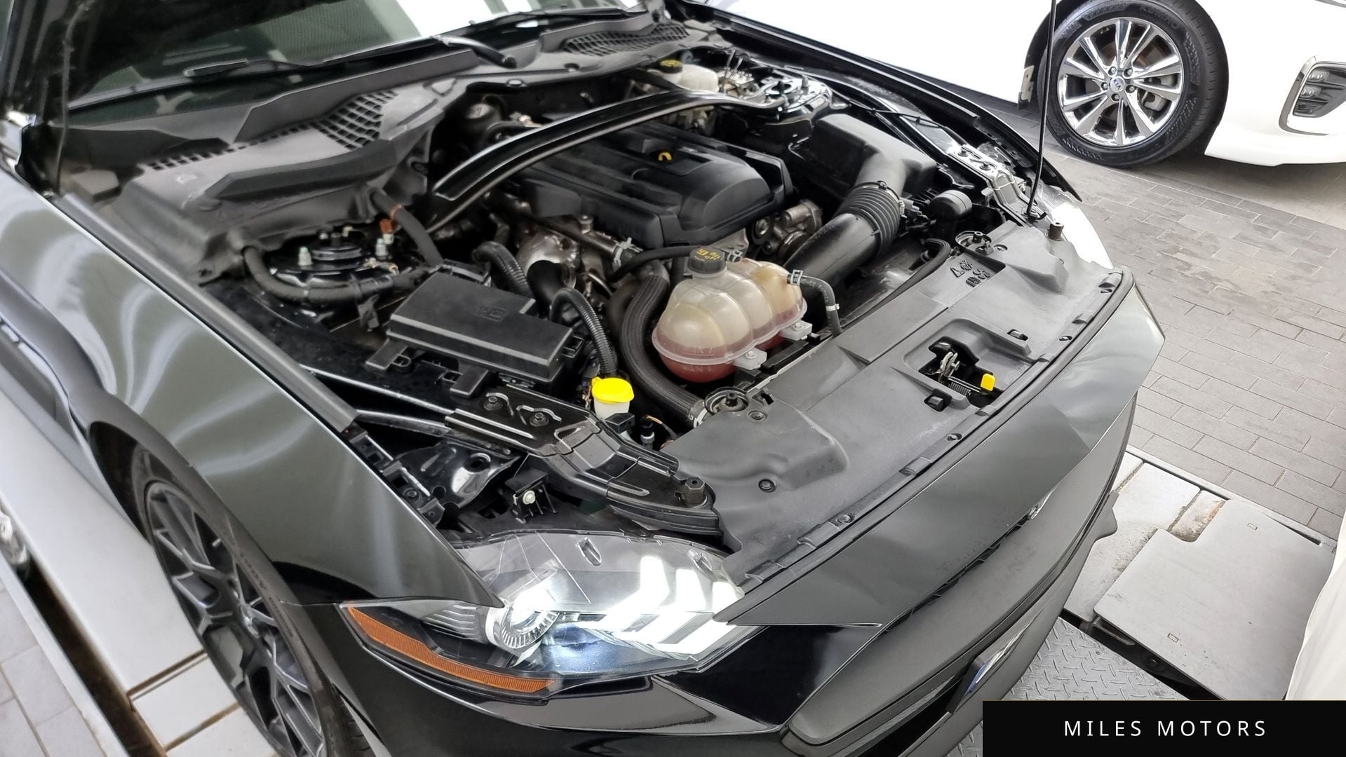 Ford Mustang 2019 — миниатюра 6