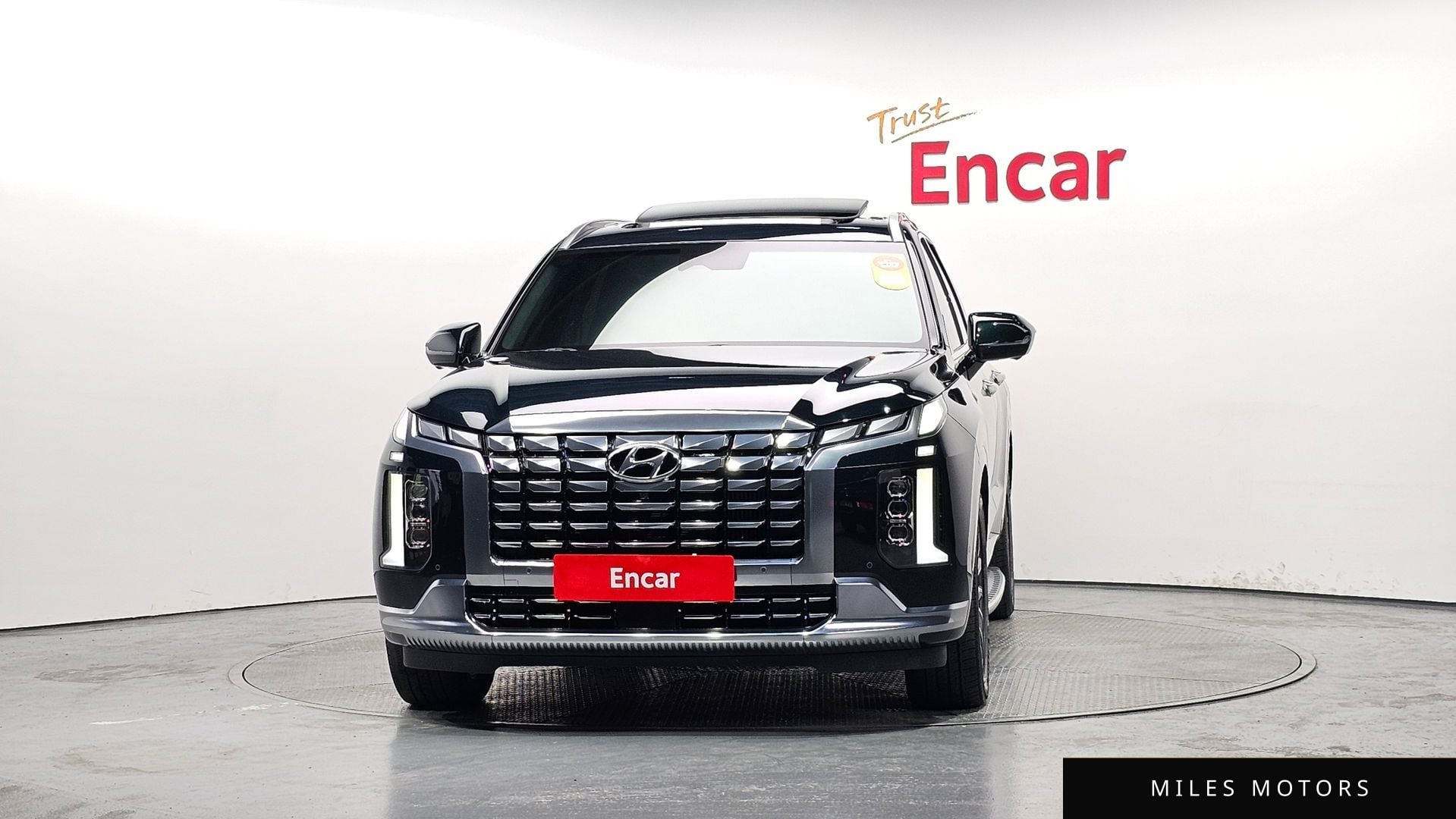 Hyundai Palisade 2023 — миниатюра 3