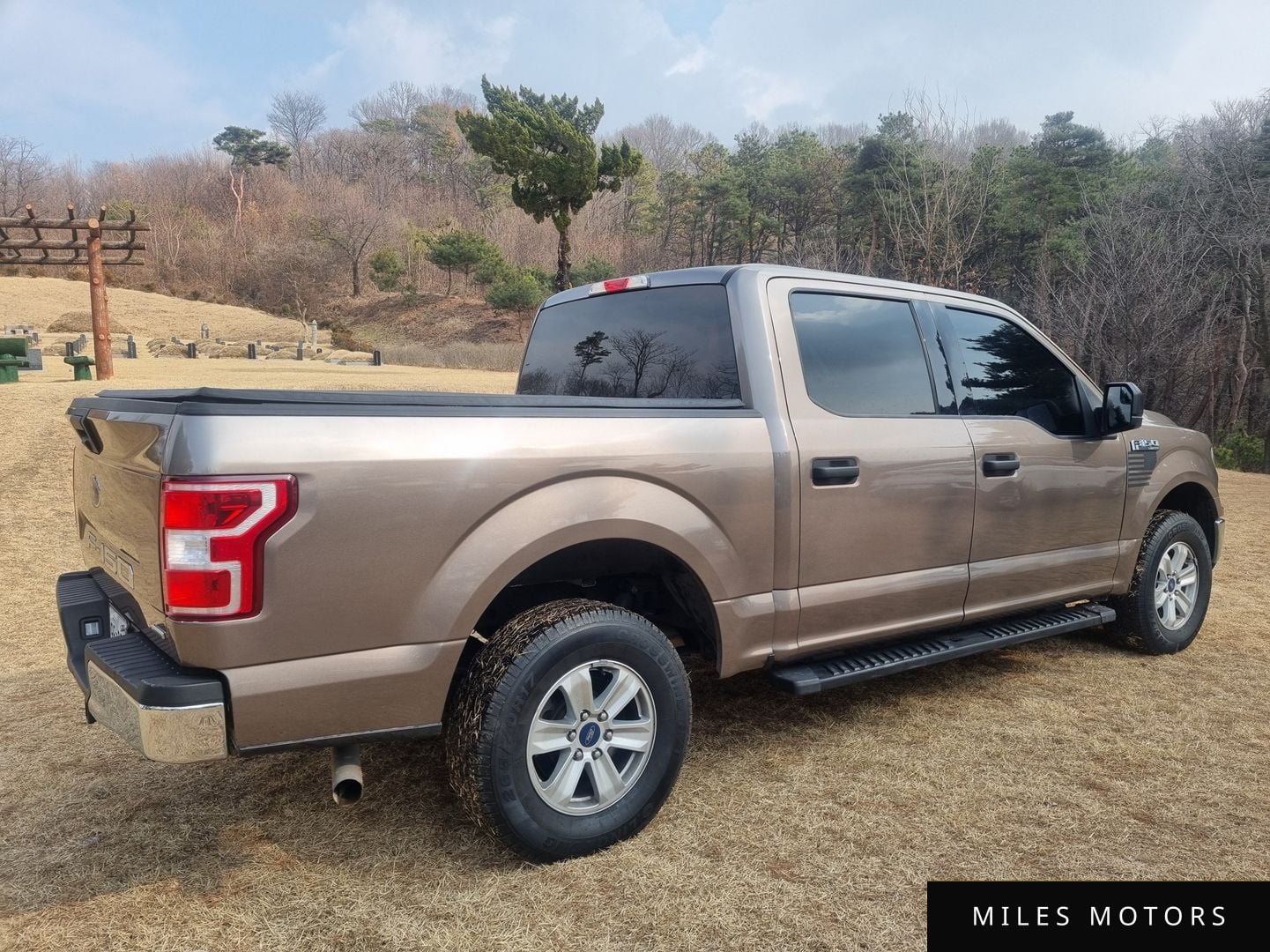 Ford F150 2018 — миниатюра 2