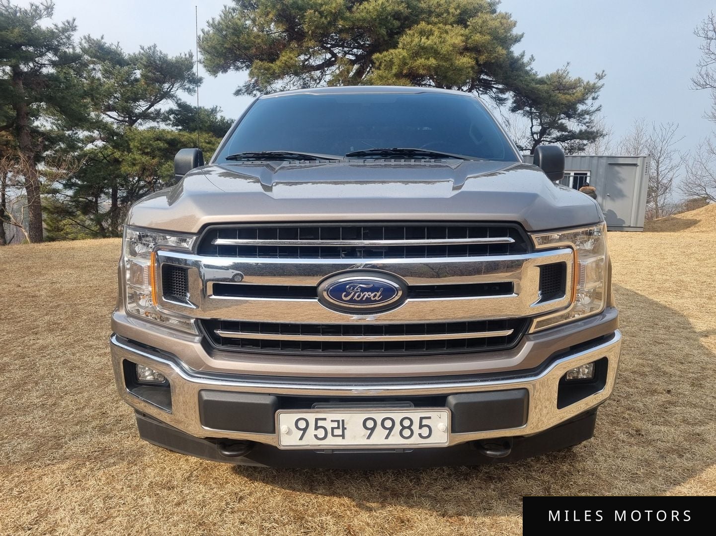 Ford F150 2018 — миниатюра 3