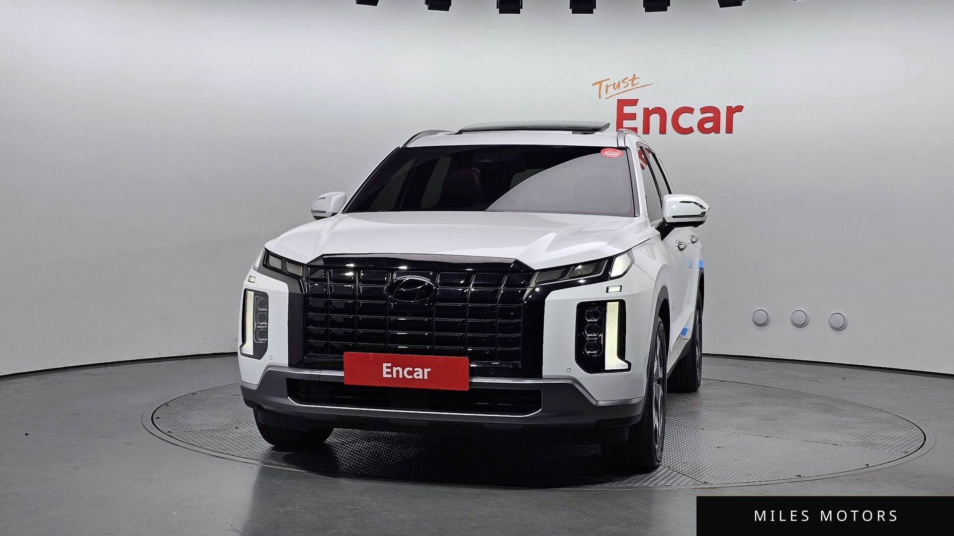 Hyundai Palisade 2023 — миниатюра 3