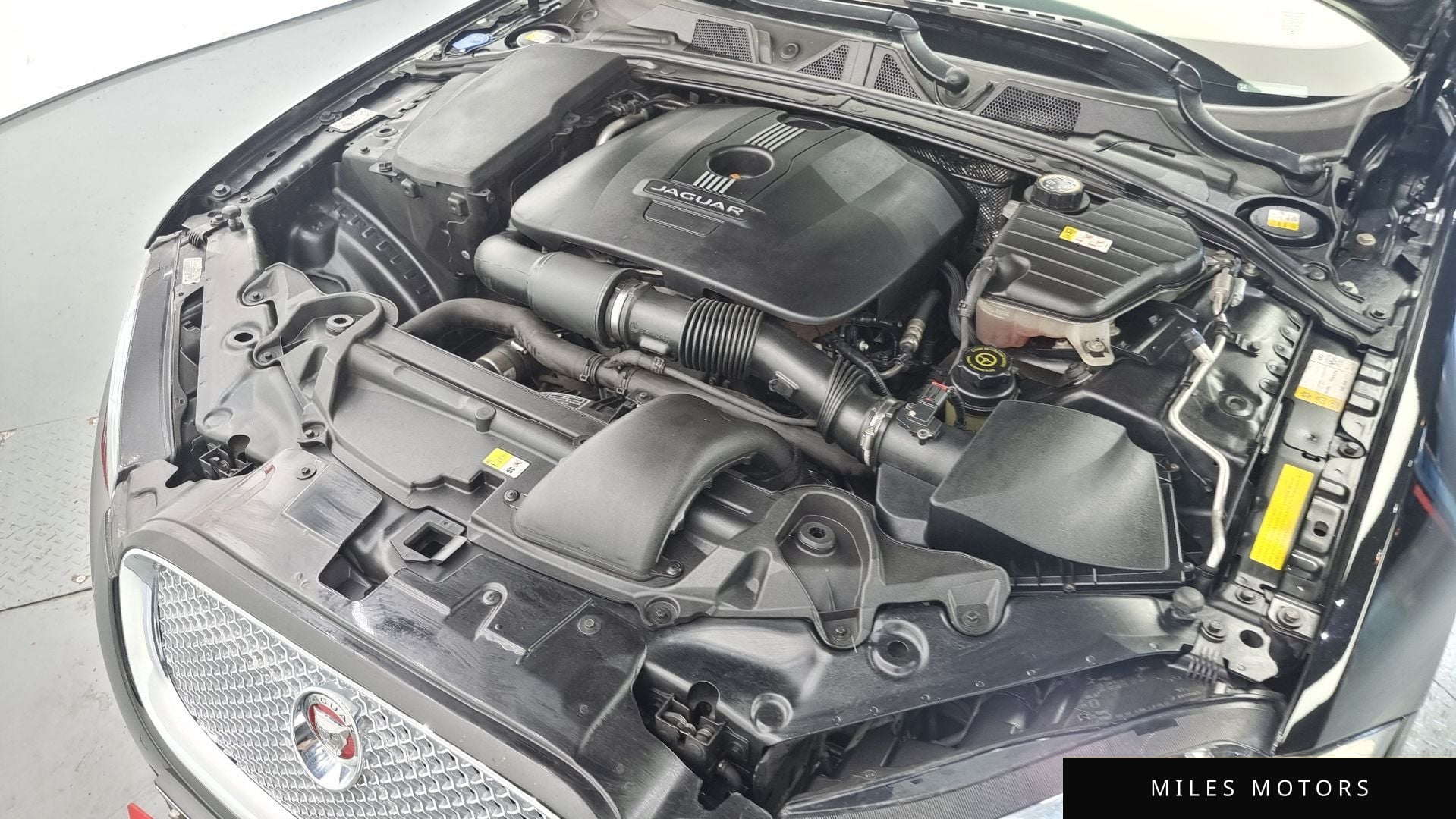 Jaguar New XF 2015 — миниатюра 6