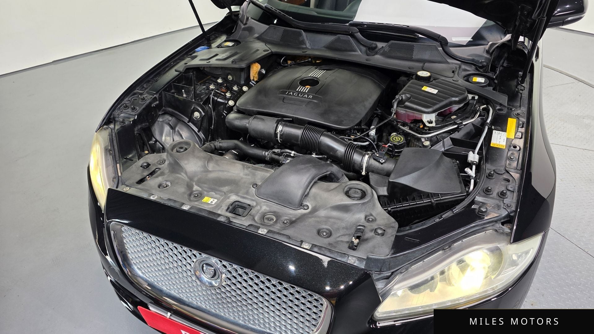 Jaguar All New XJ 2013 — миниатюра 6