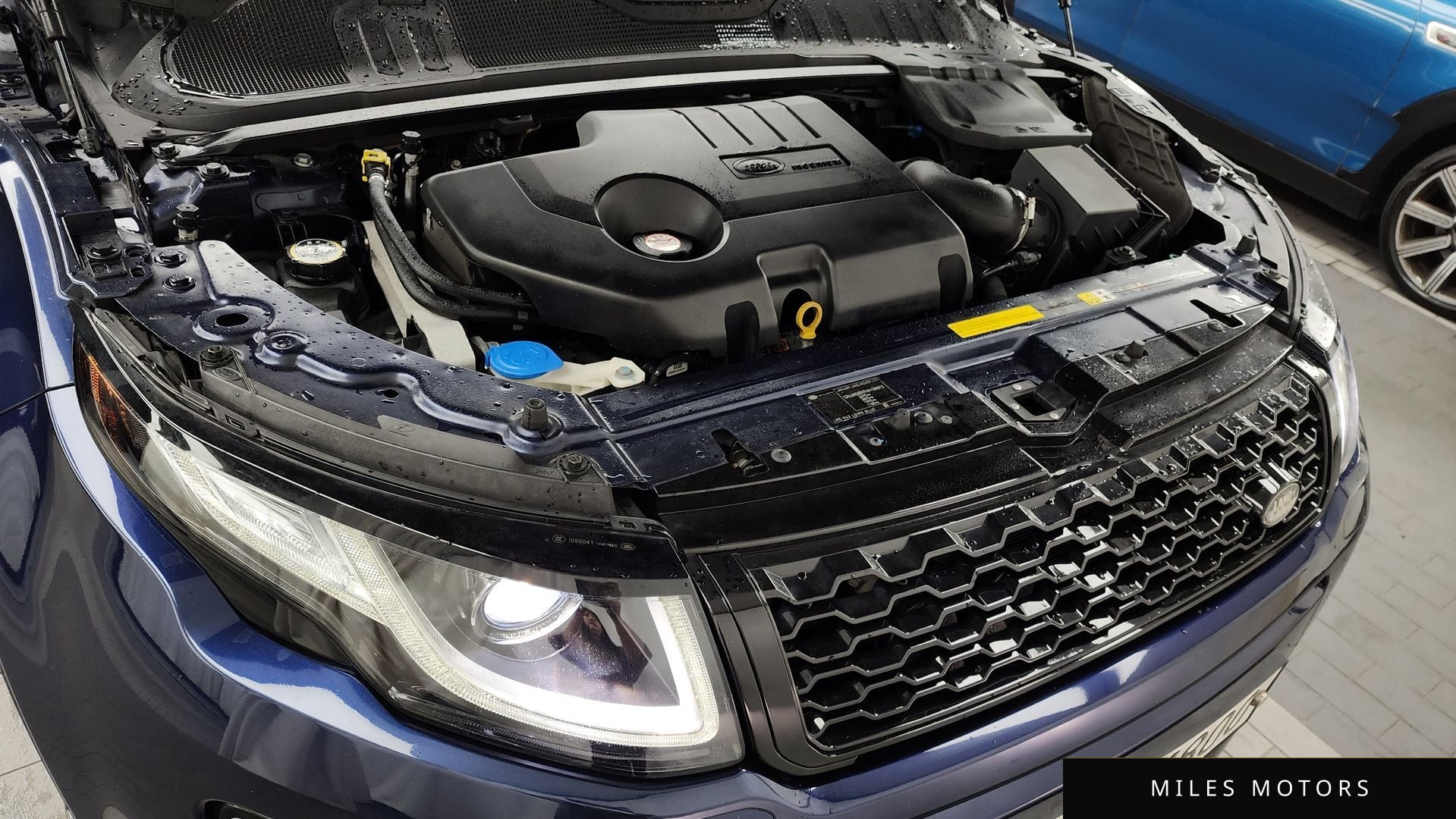 Land Rover Range Rover Evoque 2017 — миниатюра 6