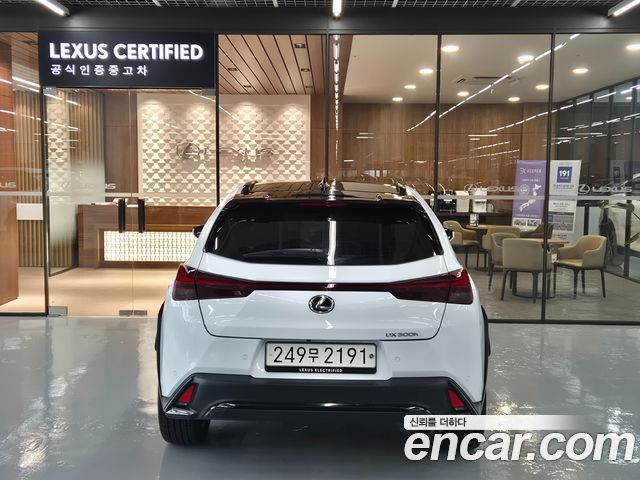 Лексус UX300h 2025 — миниатюра 4