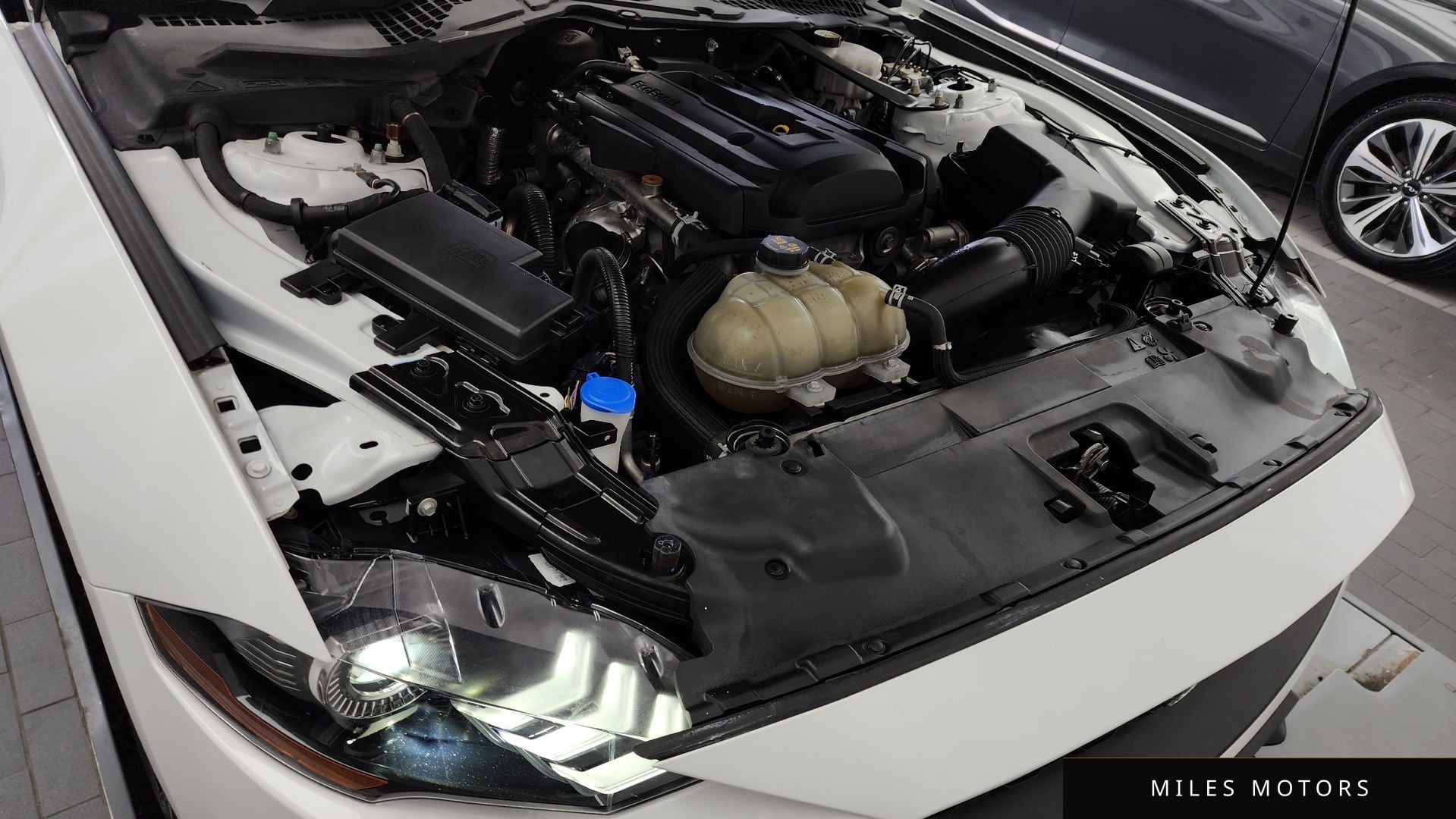Ford 머스탱 2021 — миниатюра 6