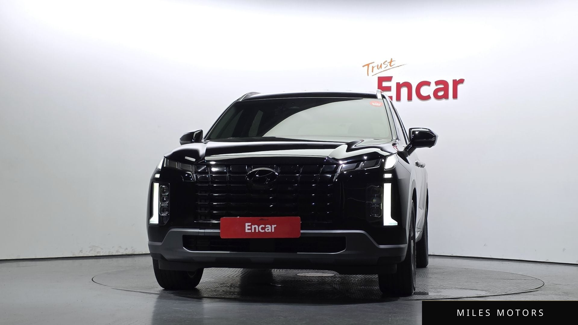 Hyundai Palisade 2024 — миниатюра 3