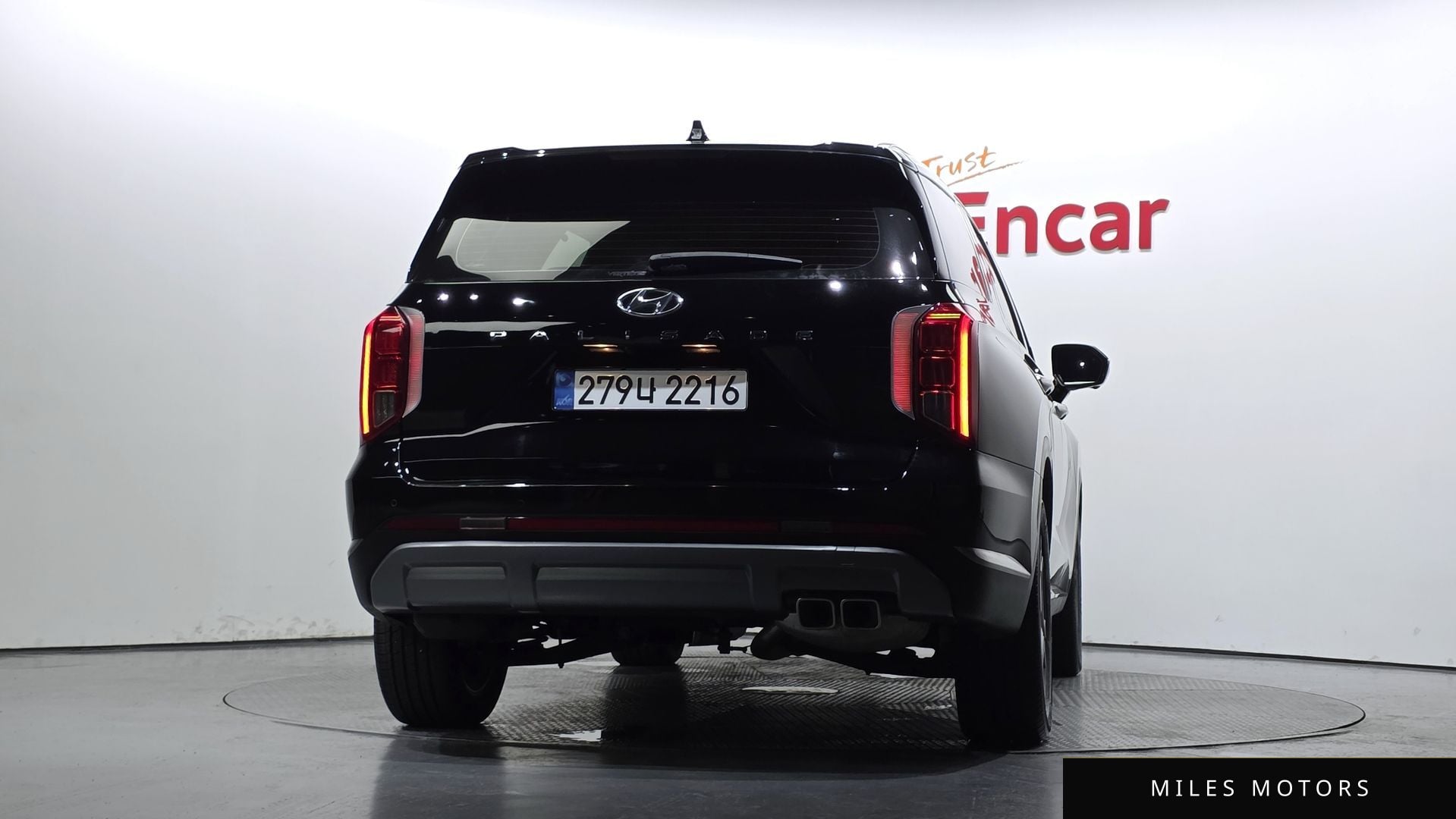 Hyundai Palisade 2024 — миниатюра 4