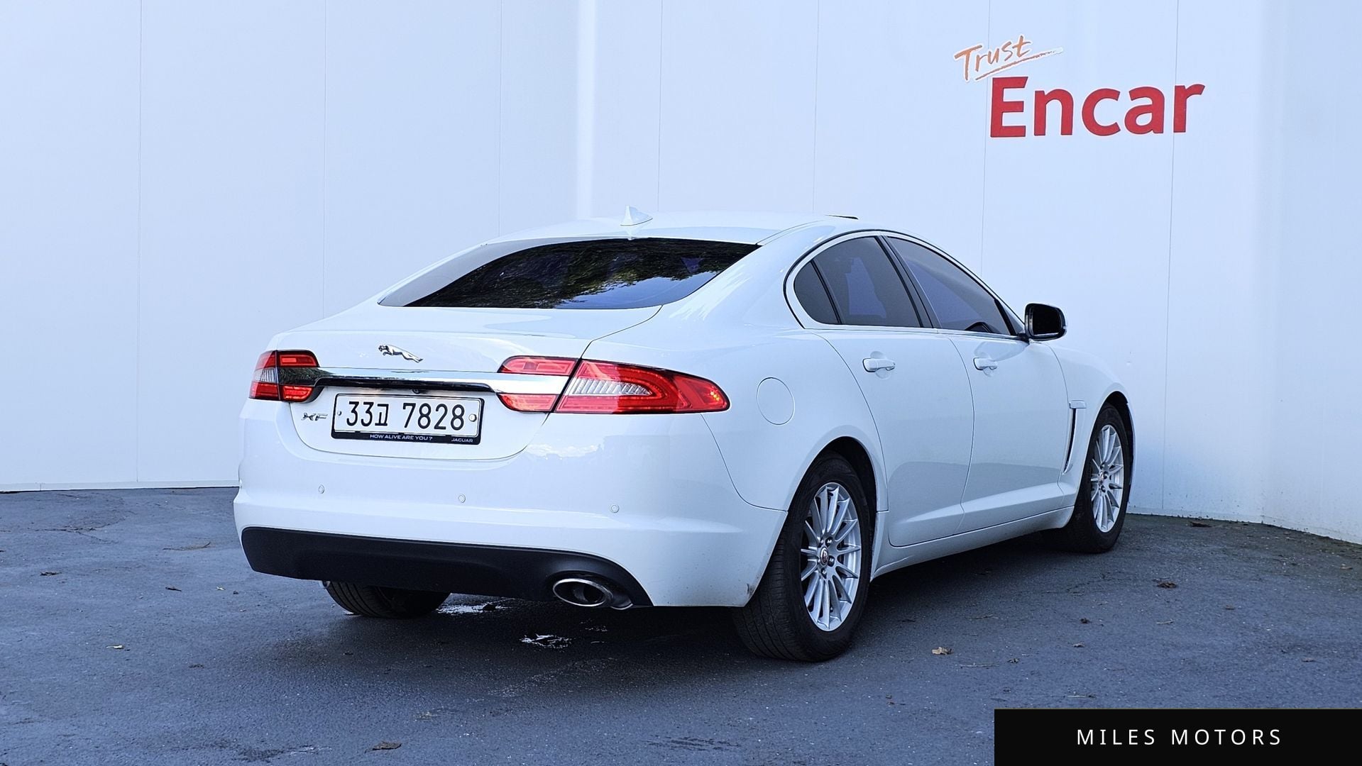 Jaguar New XF 2014 — миниатюра 2