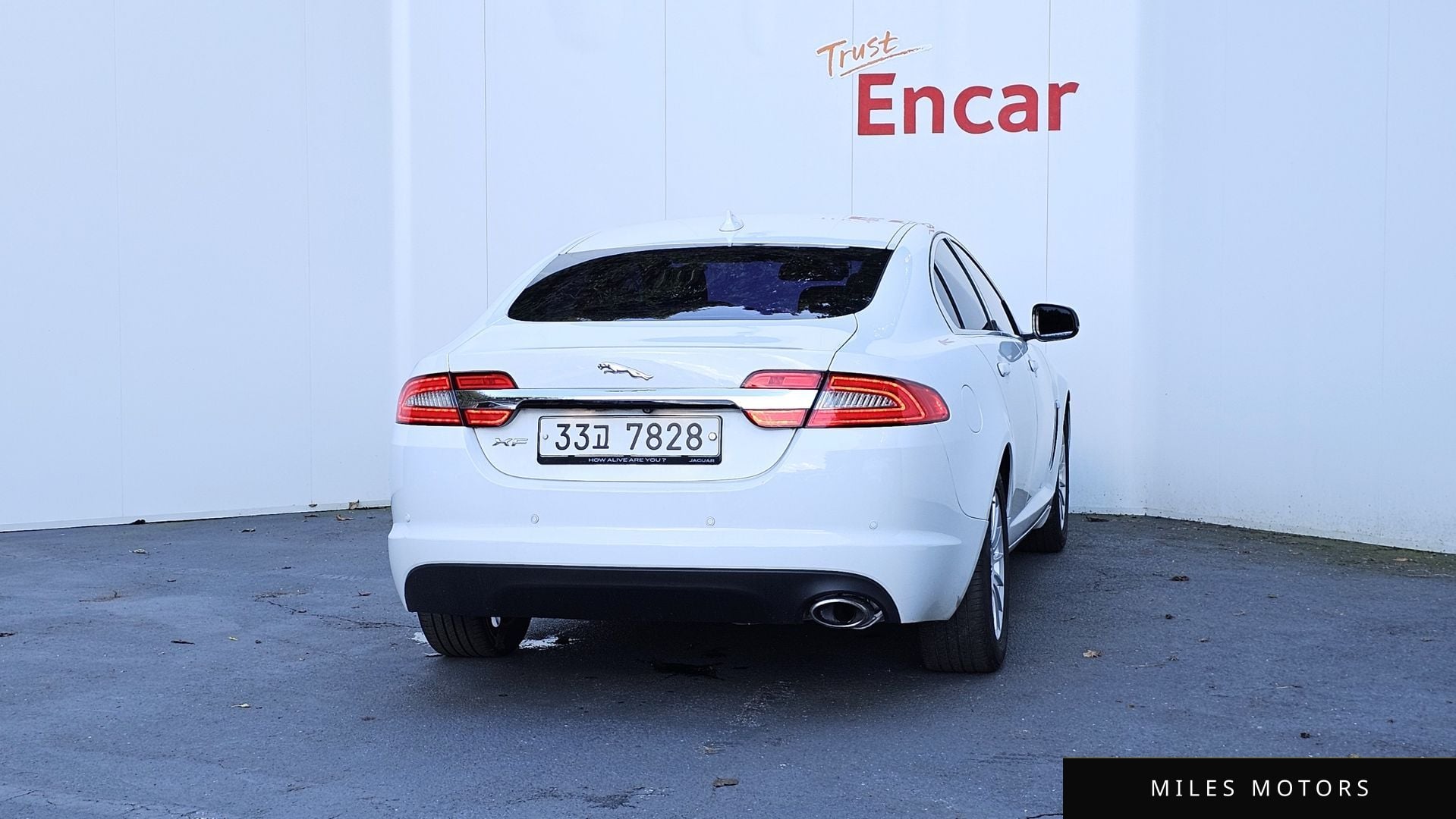 Jaguar New XF 2014 — миниатюра 4