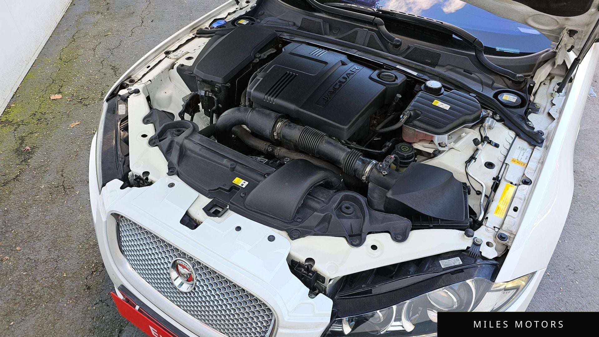 Jaguar New XF 2014 — миниатюра 6