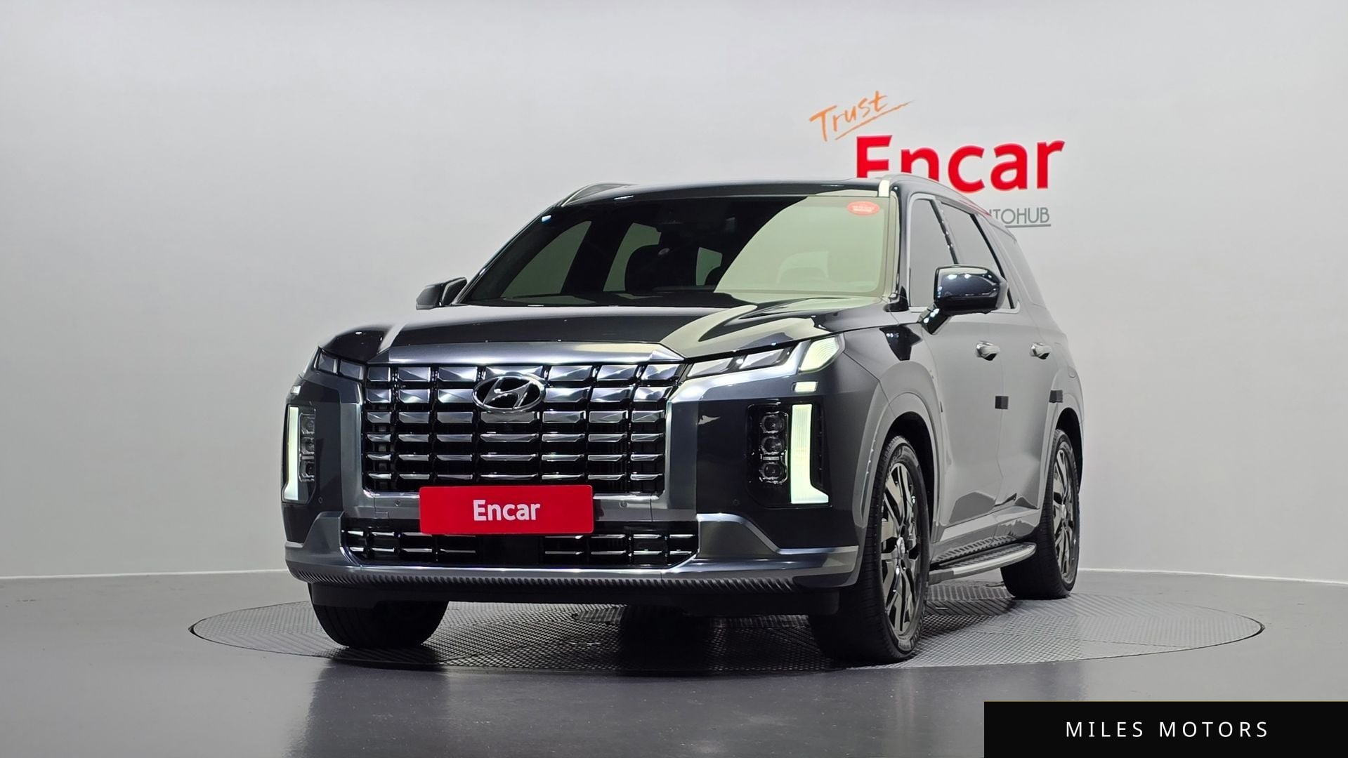 Hyundai Palisade 2023 — миниатюра 3