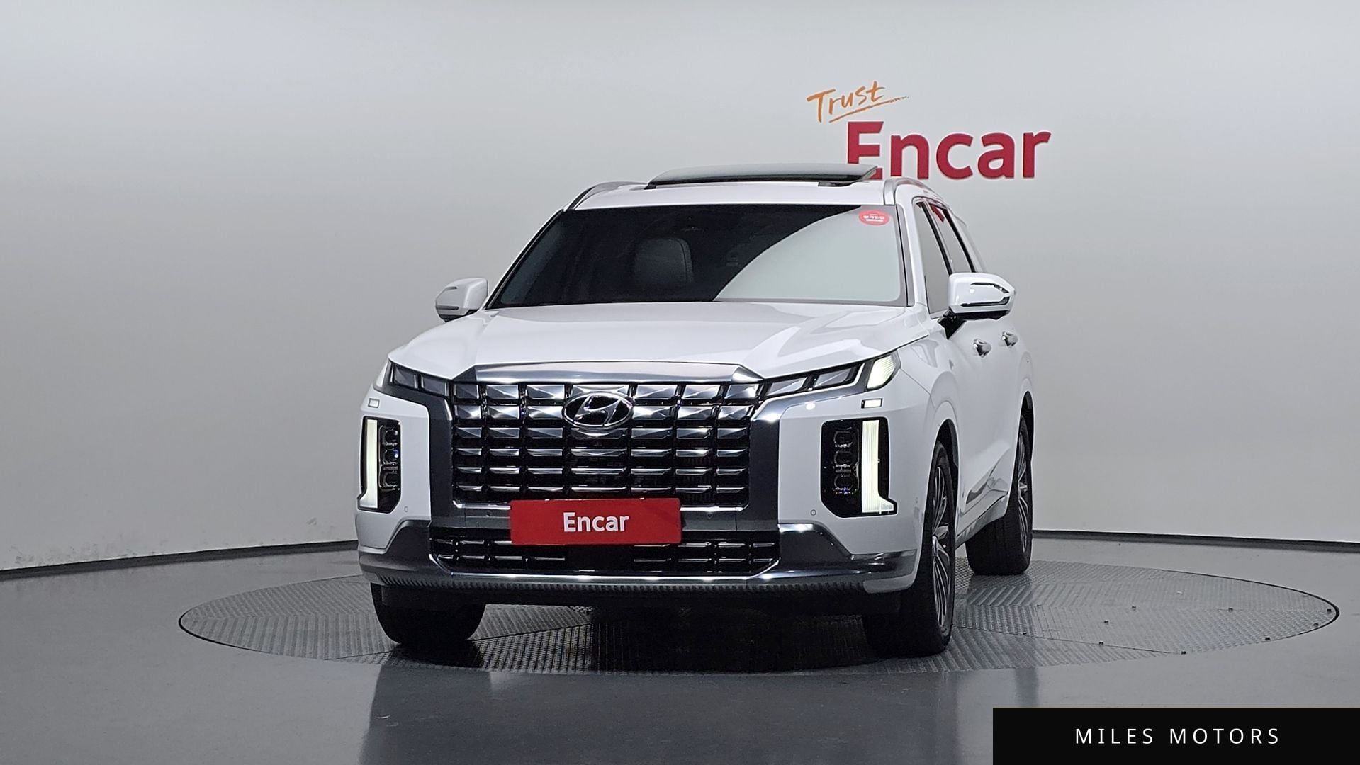 Hyundai Palisade 2023 — миниатюра 3