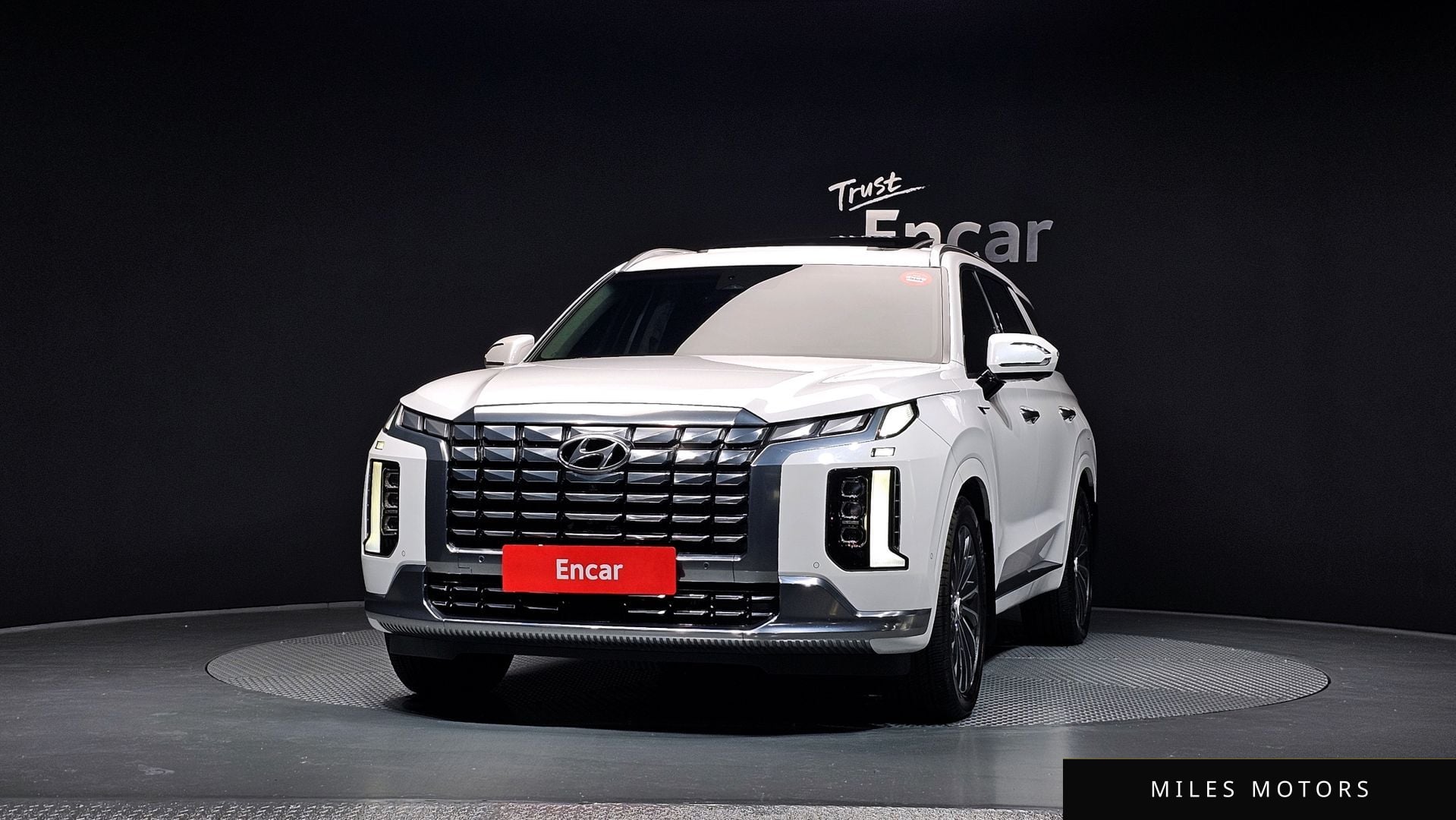 Hyundai Palisade 2023 — миниатюра 3