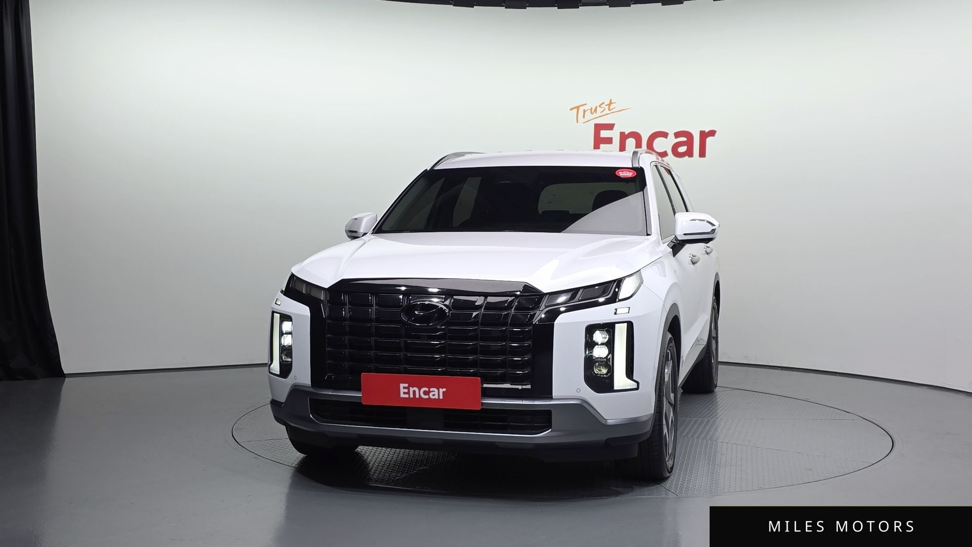 Hyundai Palisade 2024 — миниатюра 3