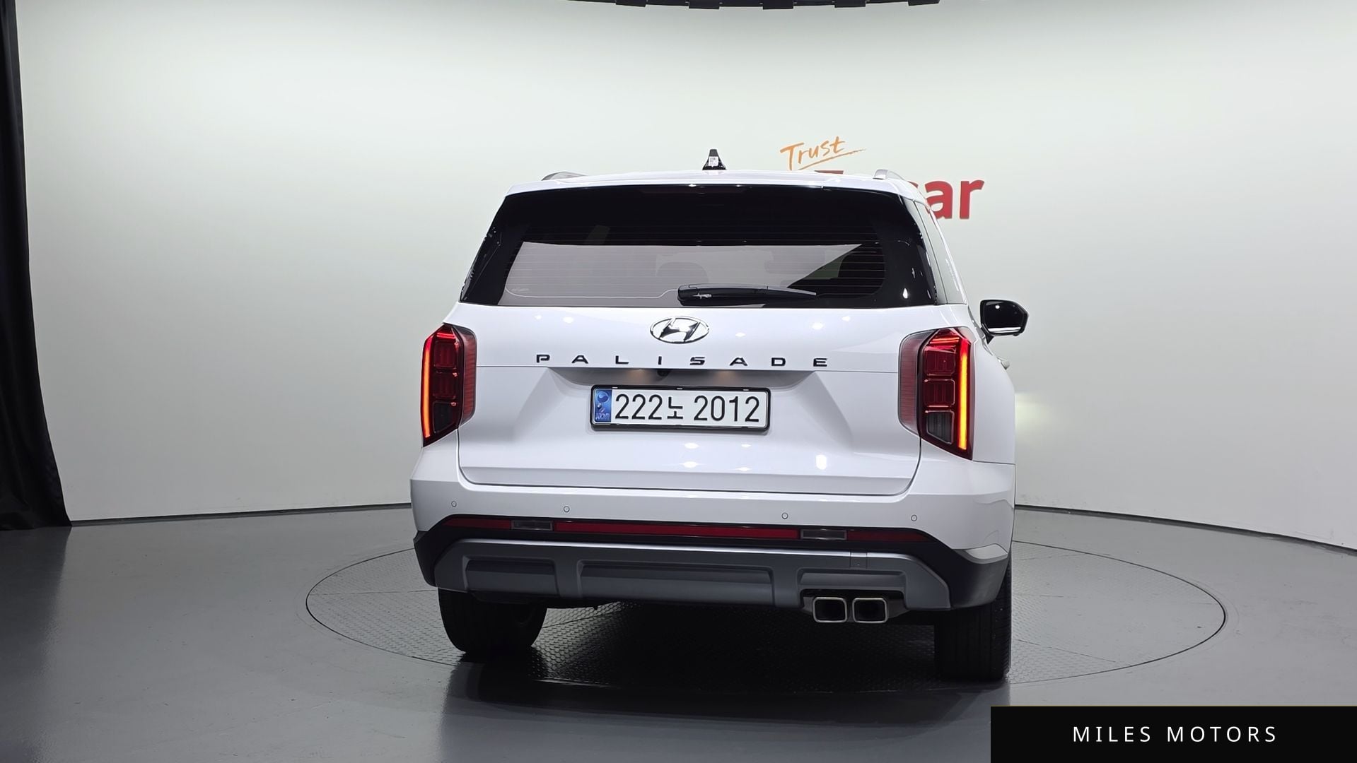 Hyundai Palisade 2024 — миниатюра 4
