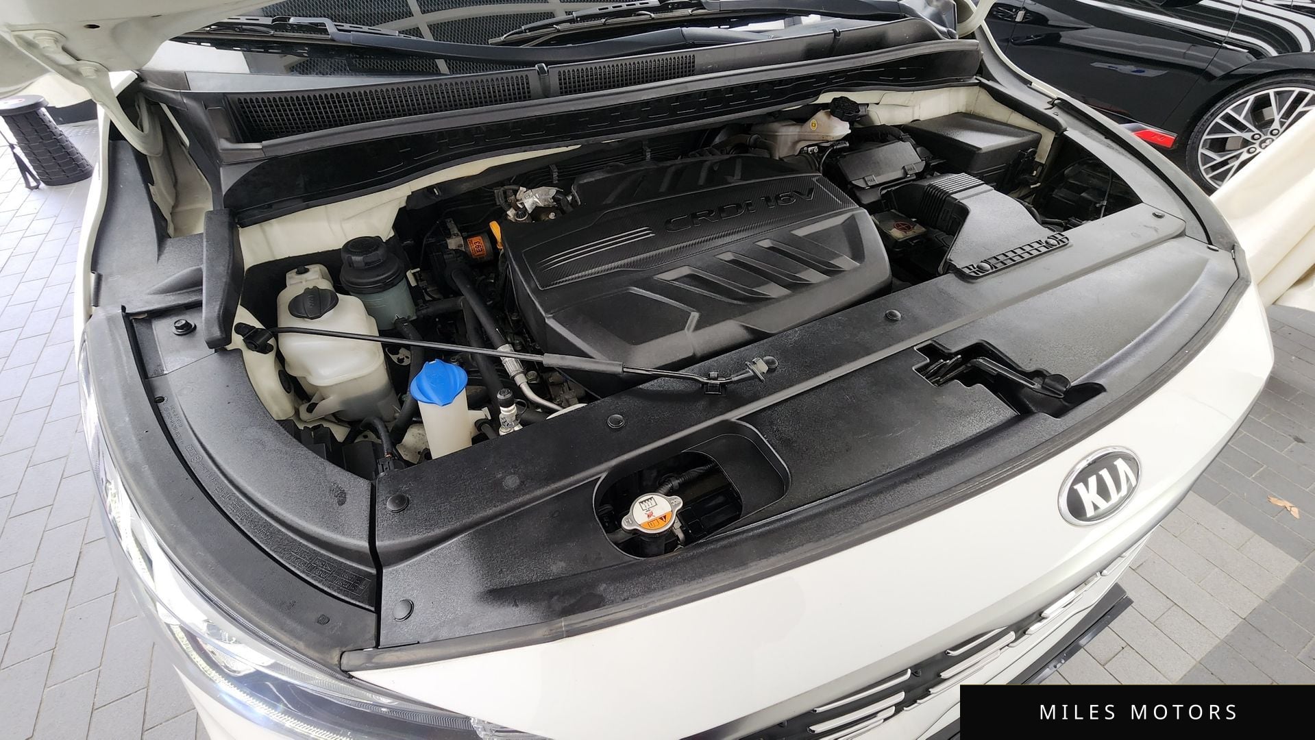 Kia Canival 2019 — миниатюра 6