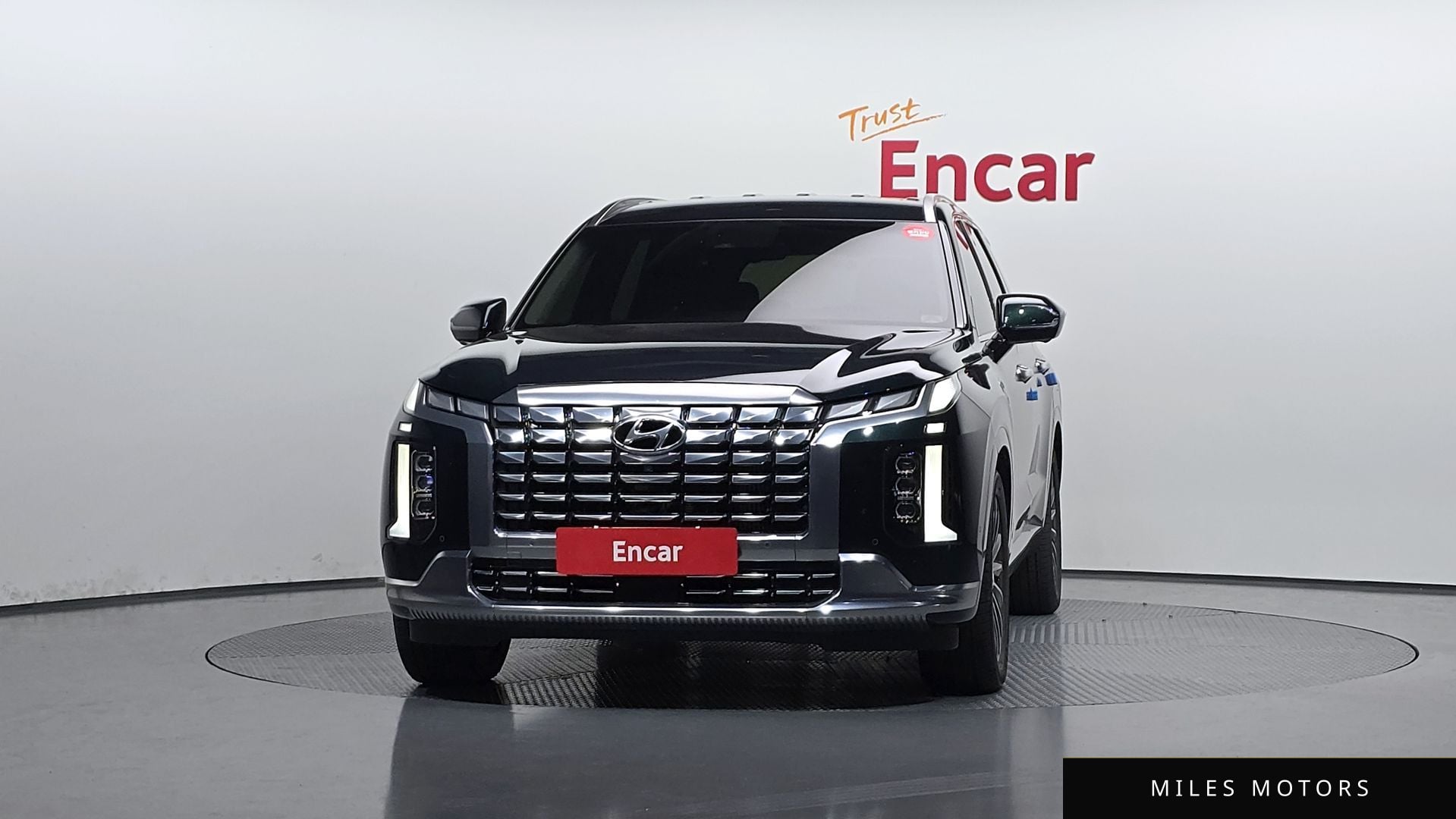 Hyundai Palisade 2023 — миниатюра 3