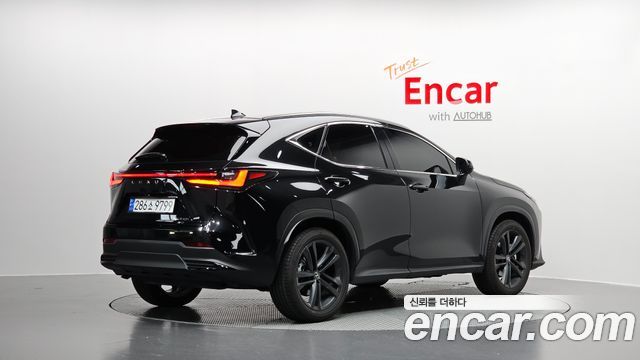 Лексус NX350h 2025 — миниатюра 2