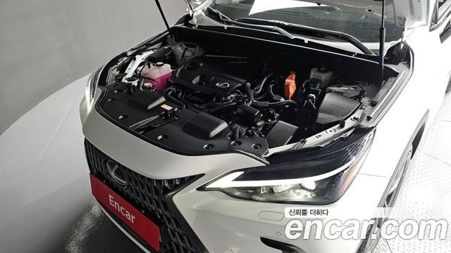 Лексус NX350h 2024 — миниатюра 6