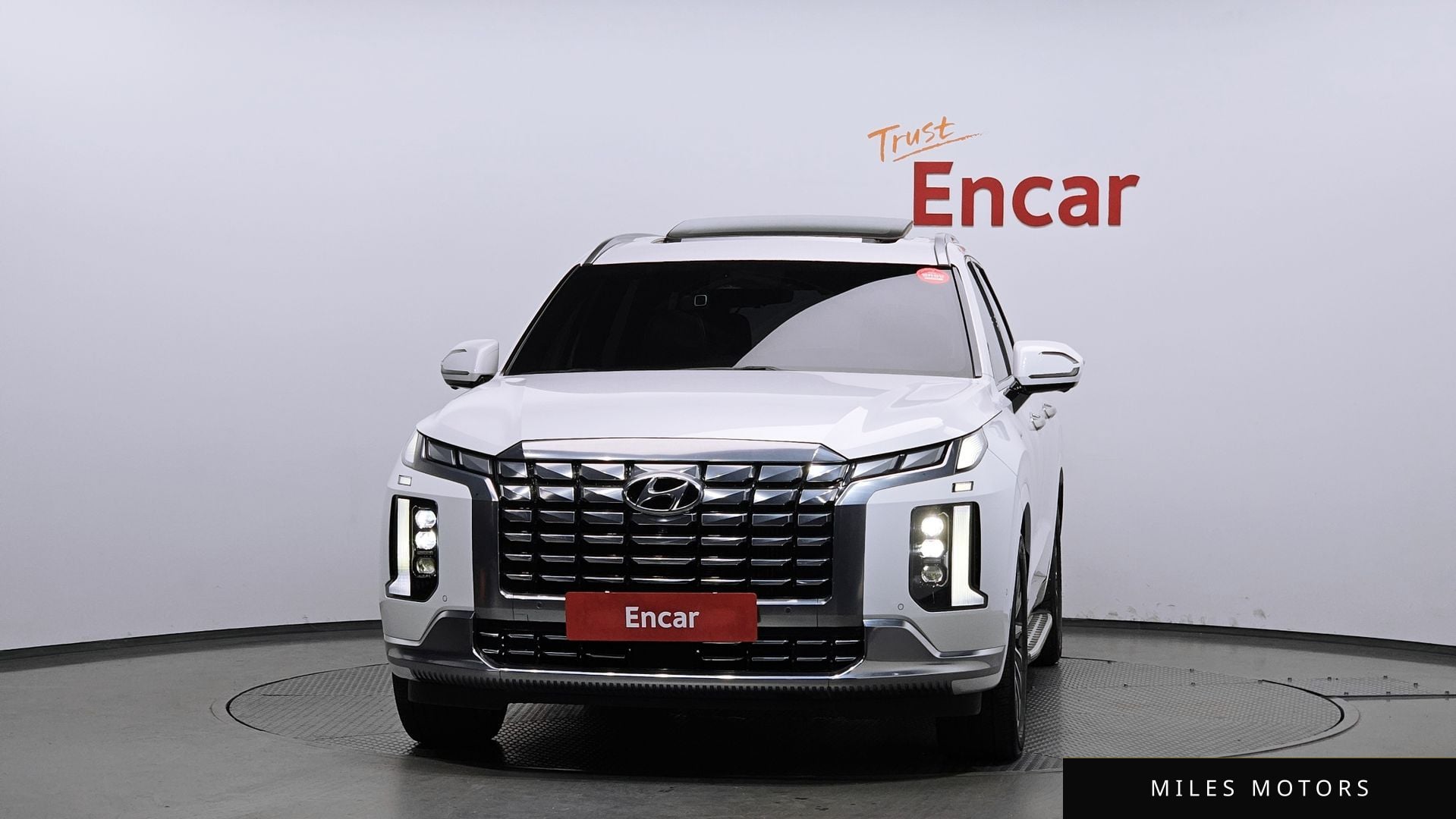 Hyundai Palisade 2023 — миниатюра 3