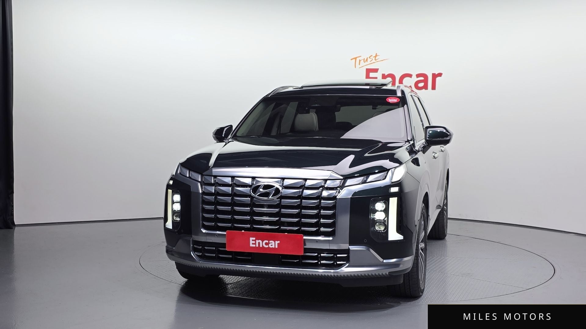 Hyundai Palisade 2023 — миниатюра 3