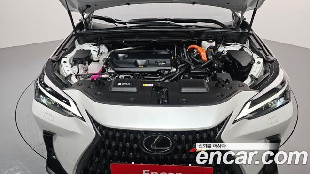 Лексус NX350h 2024 — миниатюра 6
