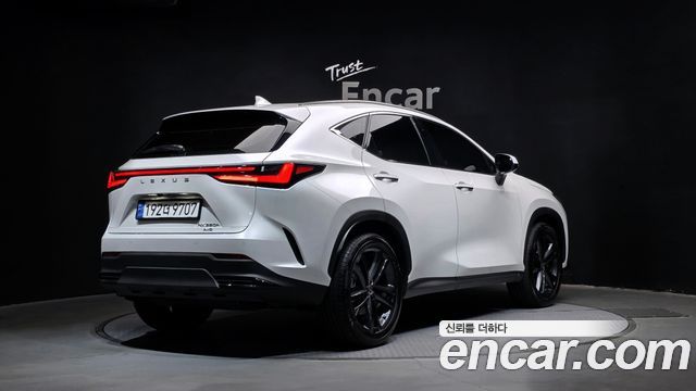 Лексус NX350h 2024 — миниатюра 2