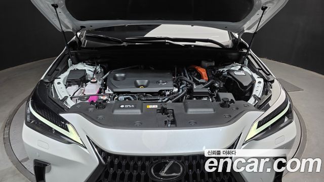 Лексус NX350h 2024 — миниатюра 6