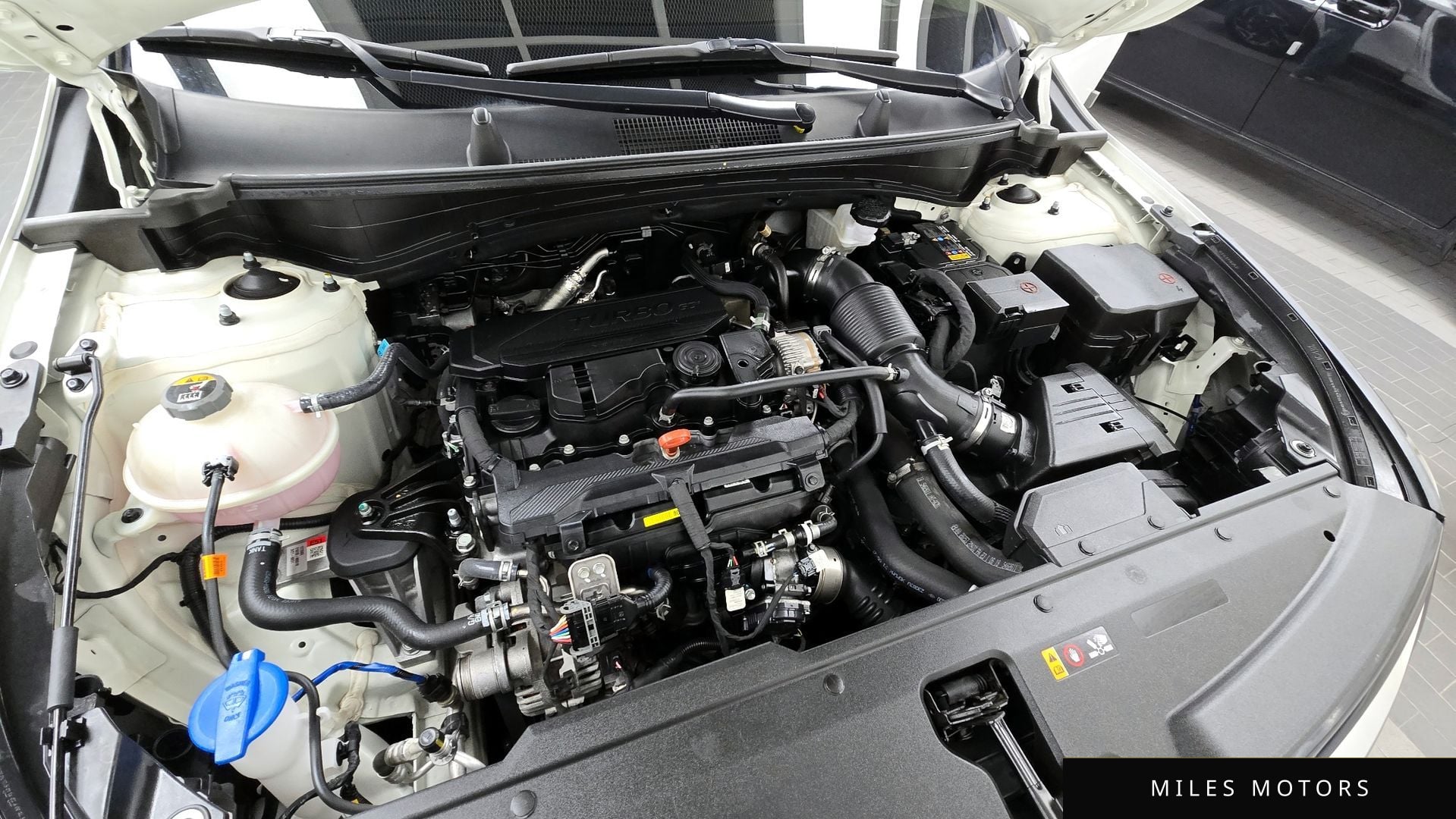 Kia Sportage 2024 — миниатюра 6