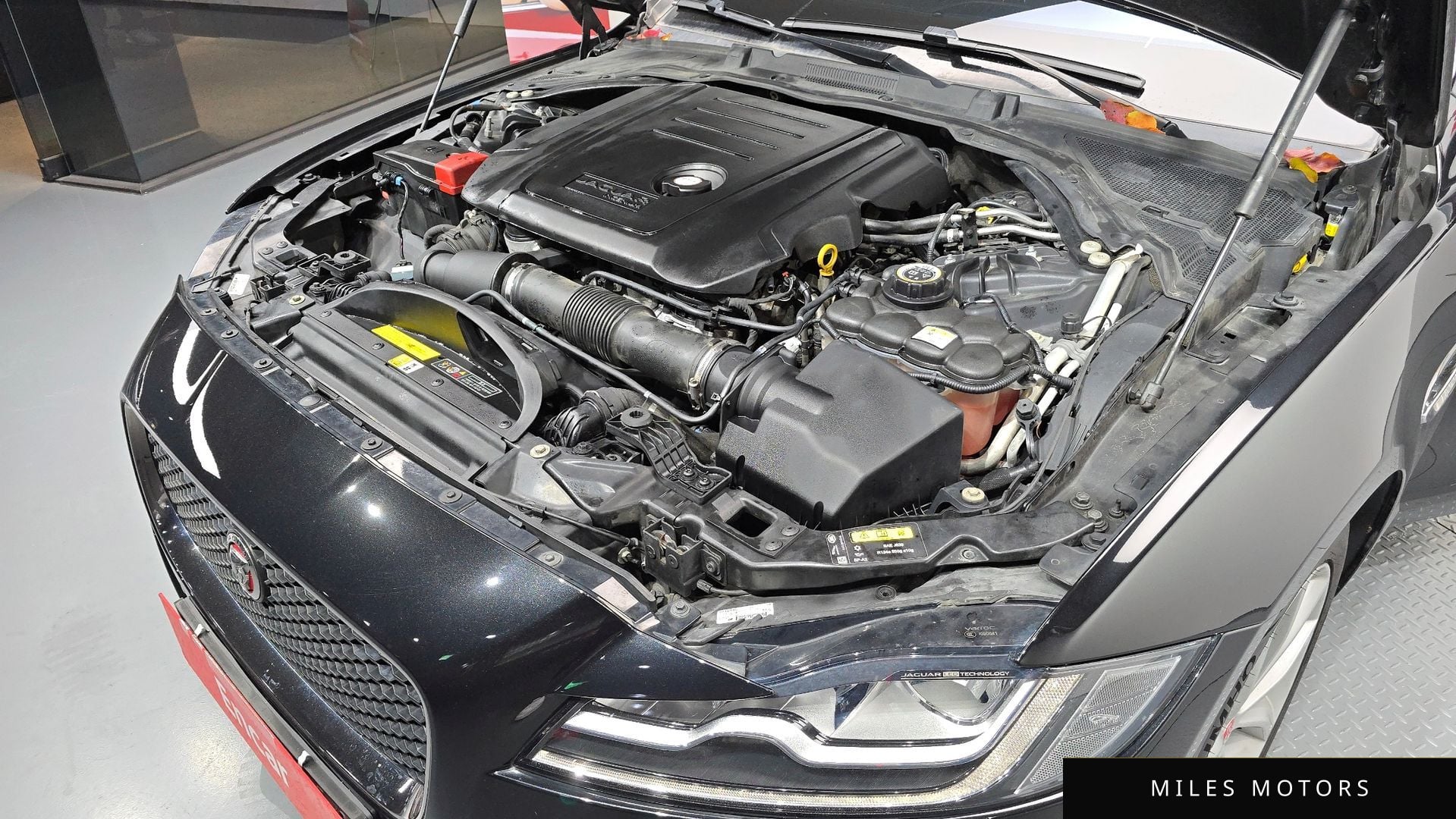 Jaguar XF (X260) 2019 — миниатюра 6