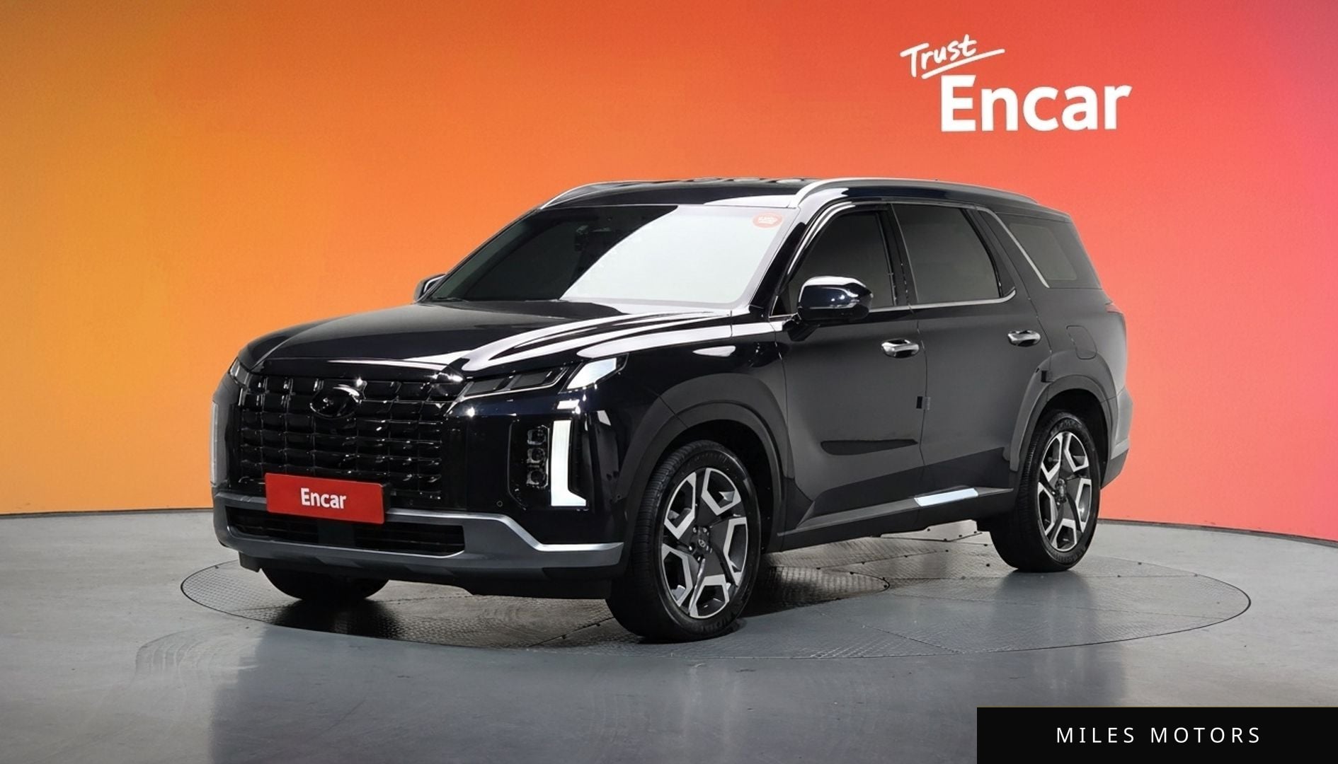 Hyundai Palisade 2024 — миниатюра 10