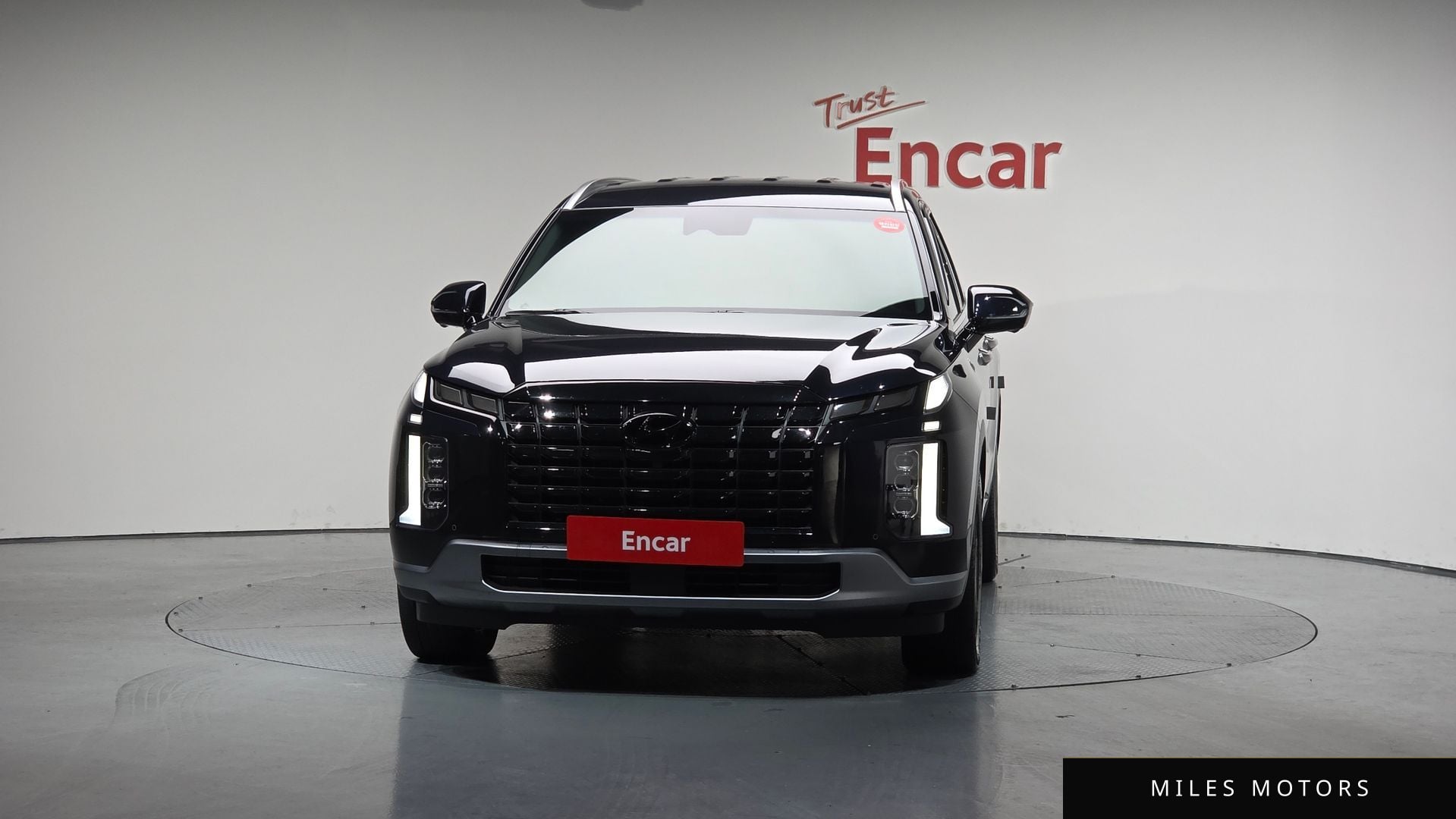 Hyundai Palisade 2024 — миниатюра 2