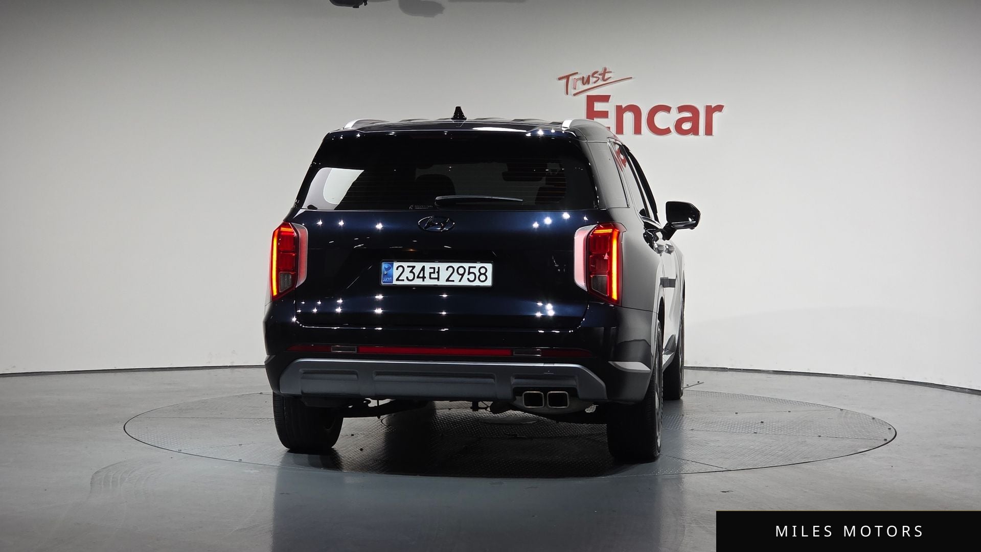 Hyundai Palisade 2024 — миниатюра 3