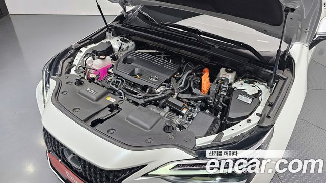 Лексус NX350h 2025 — миниатюра 6