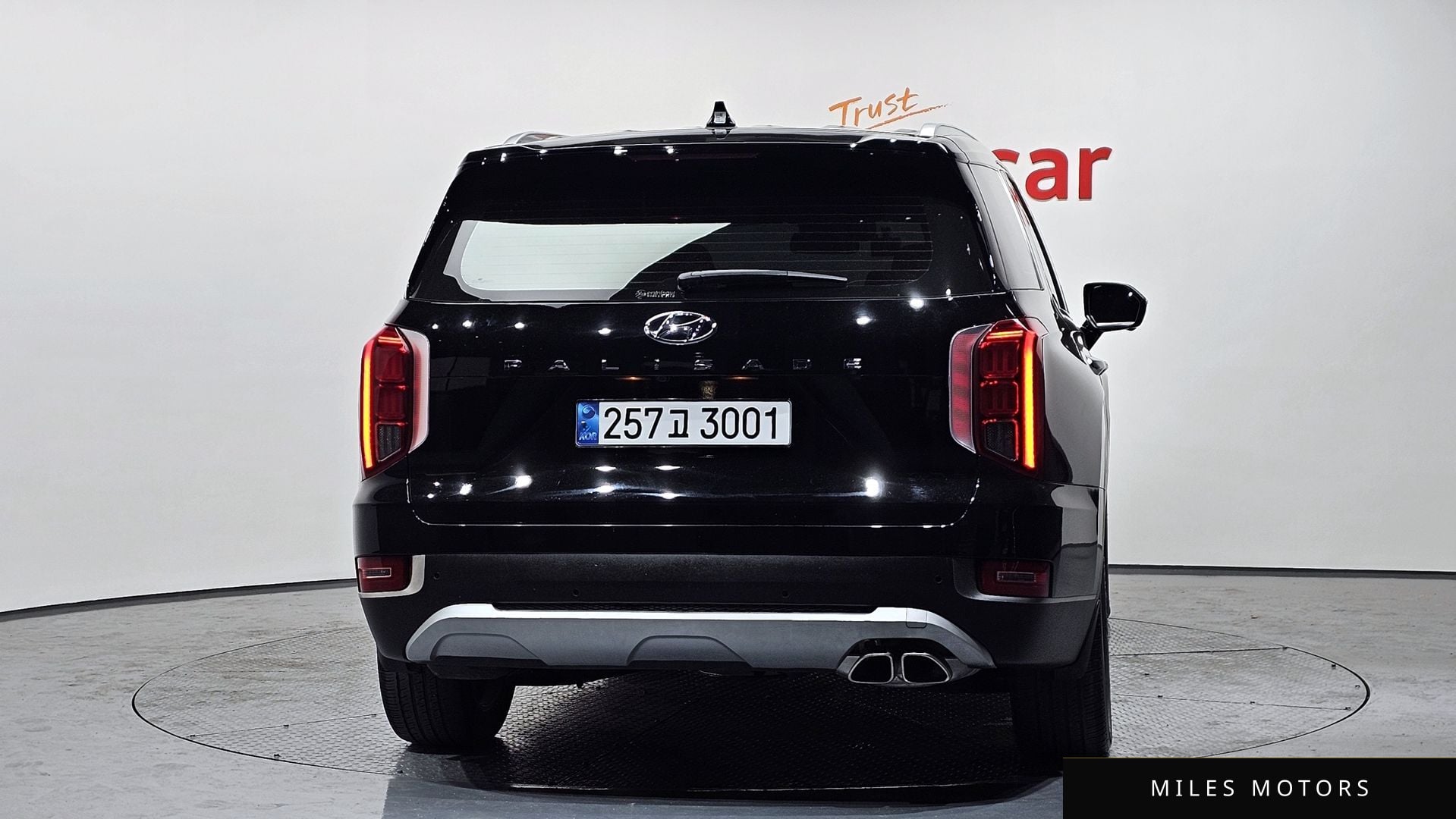 Hyundai Palisade 2022 — миниатюра 4