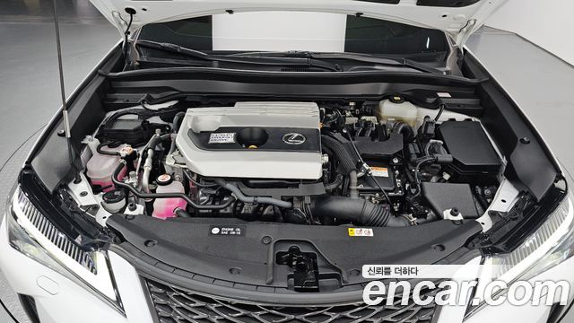 Лексус UX250h 2022 — миниатюра 6