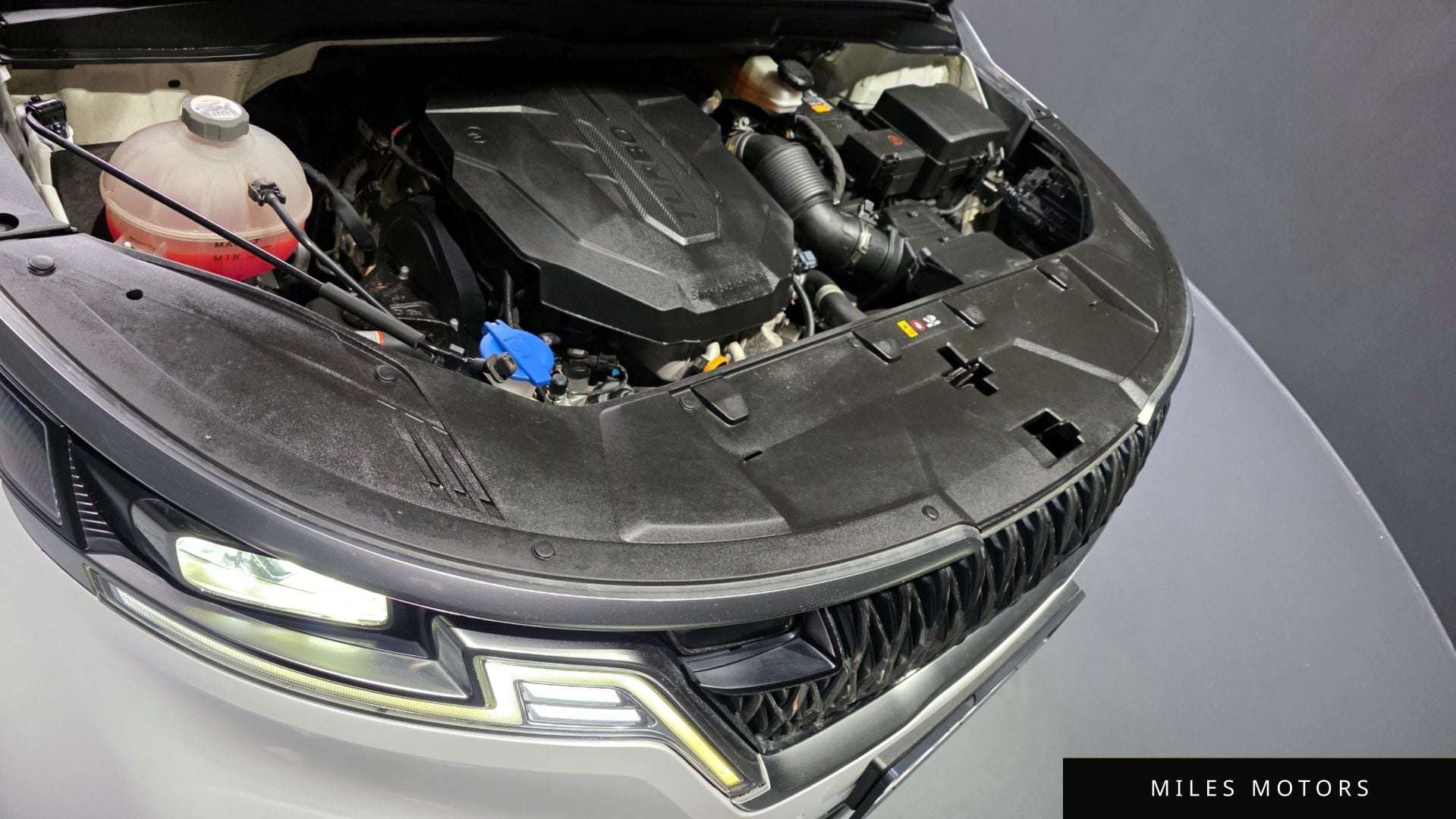 Kia Carnival 2022 — миниатюра 6