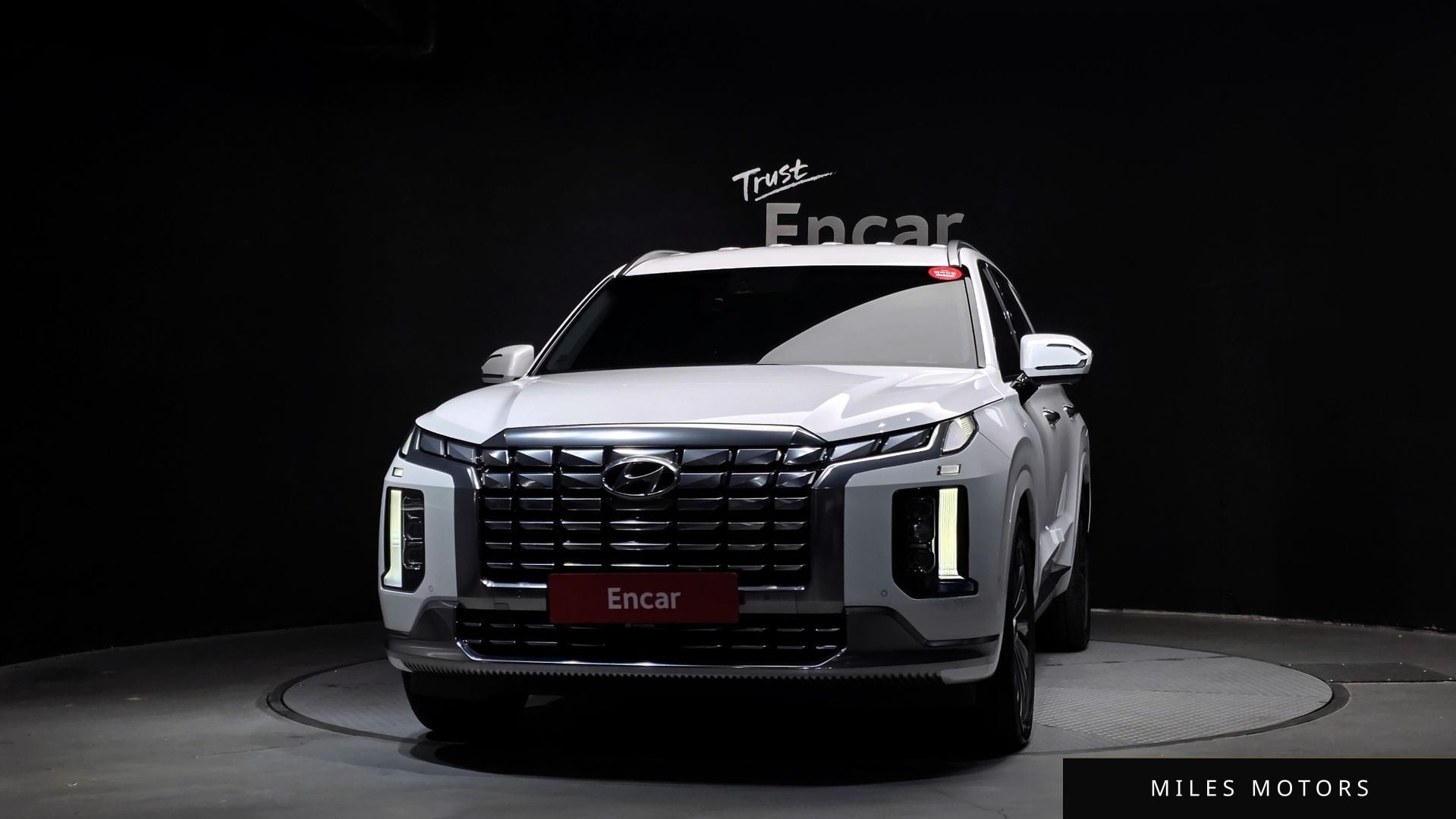 Hyundai Palisade 2024 — миниатюра 3