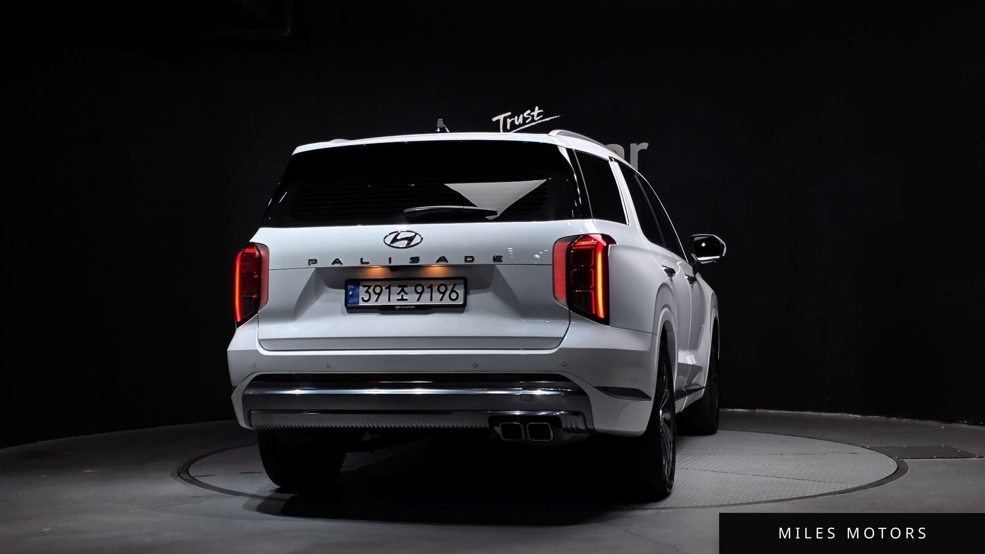 Hyundai Palisade 2024 — миниатюра 4