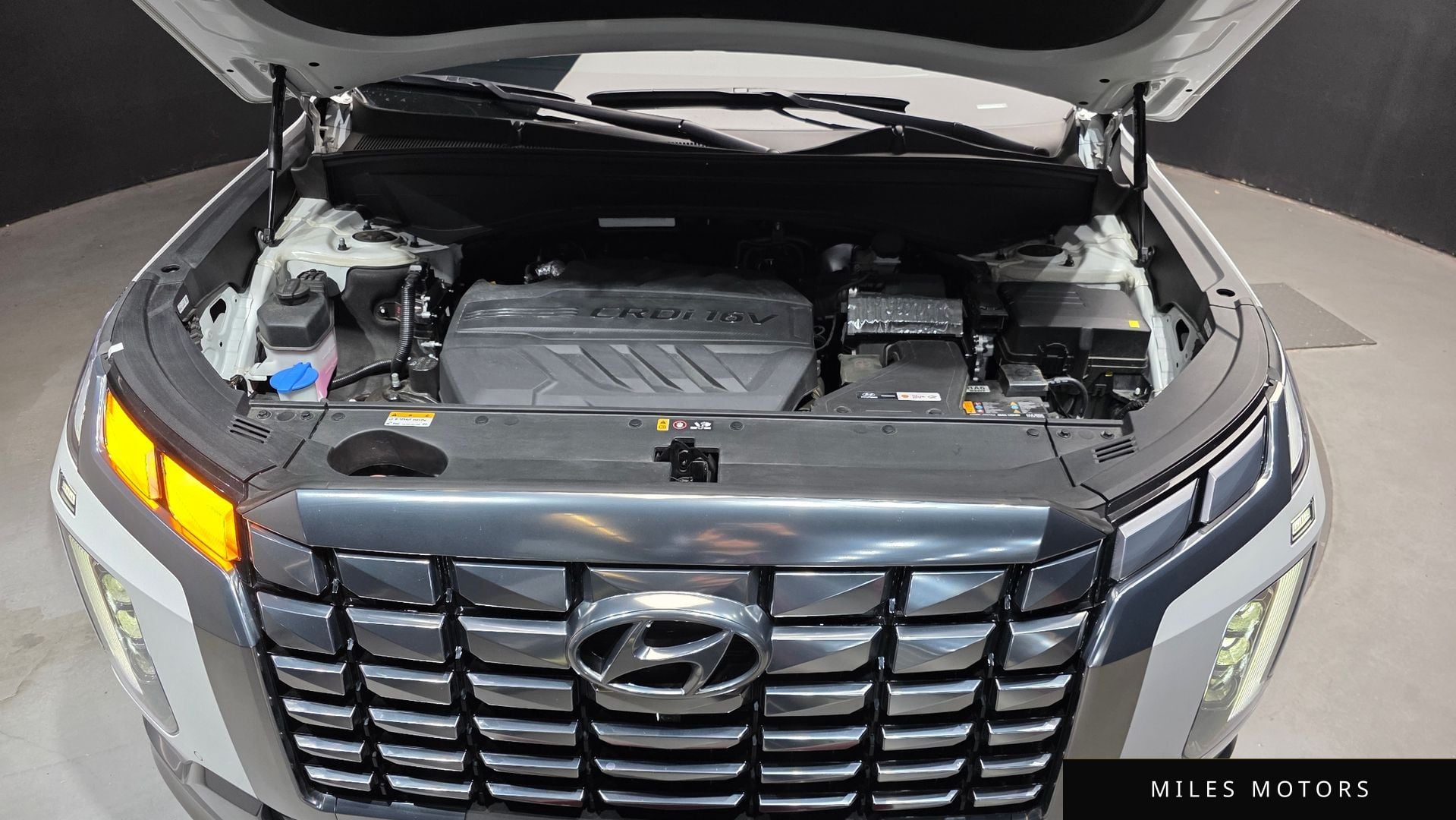 Hyundai Palisade 2024 — миниатюра 6