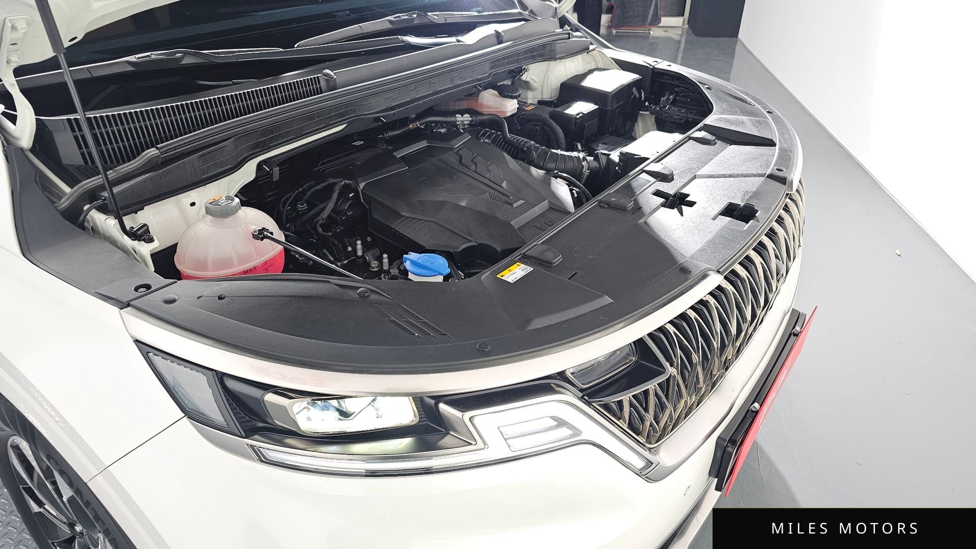 Kia Carnival 2023 — миниатюра 6