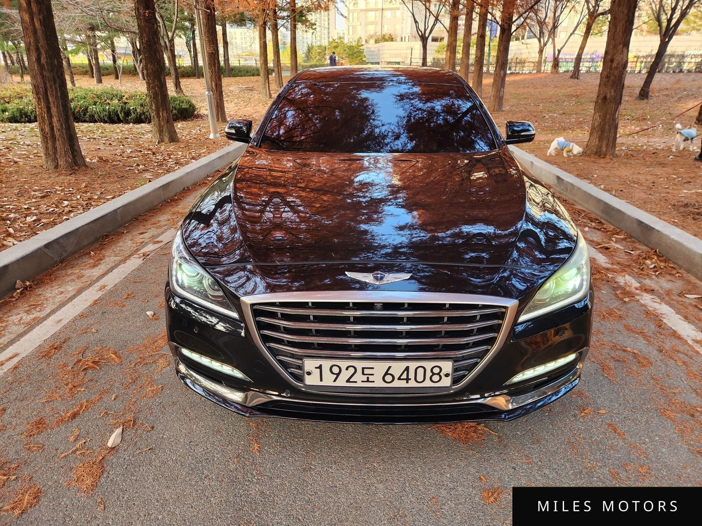 Genesis G80 2018 — миниатюра 2