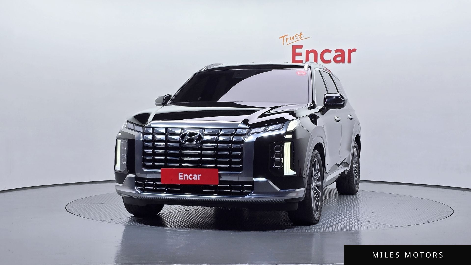 Hyundai Palisade 2024 — миниатюра 3