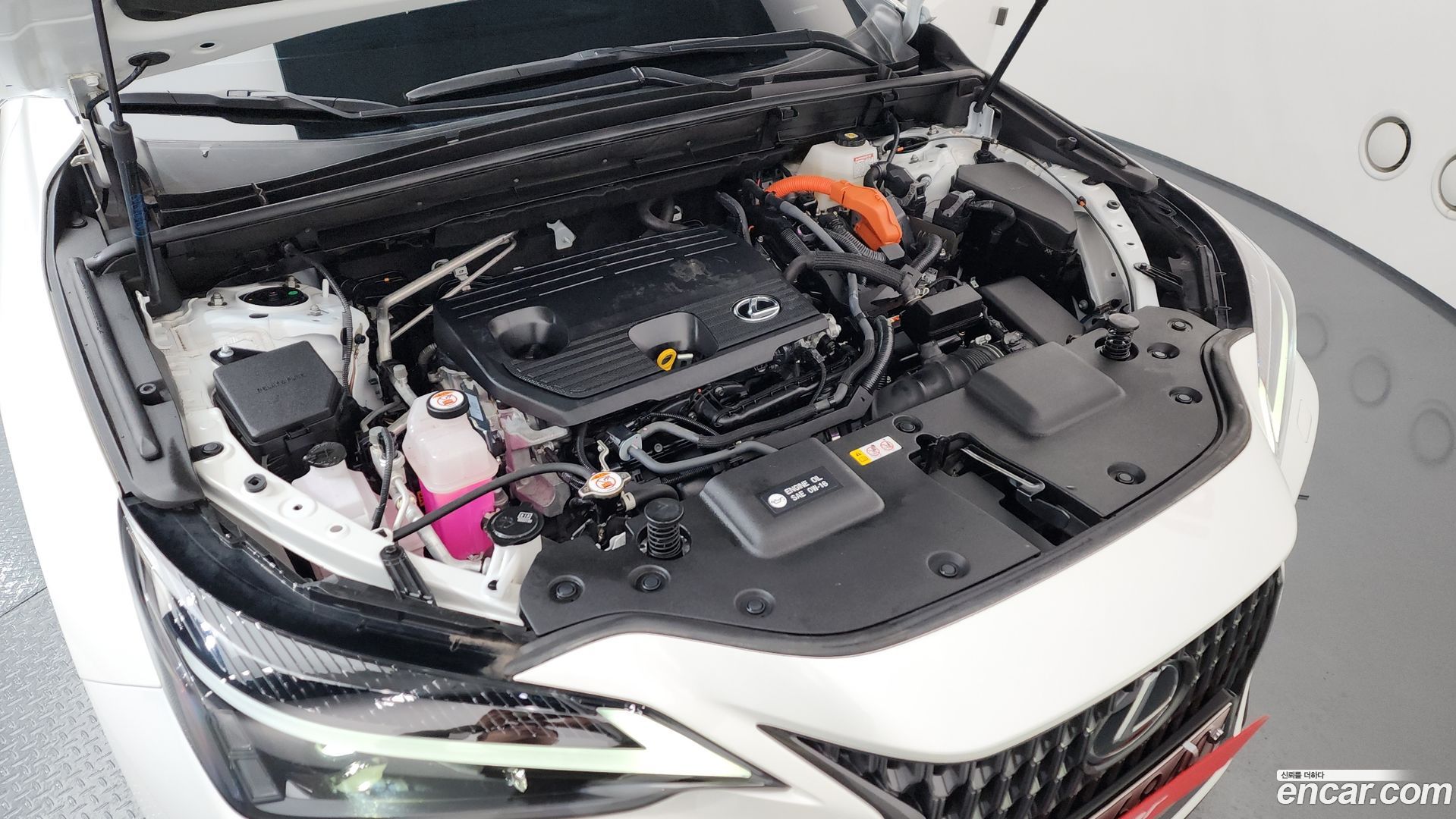 Лексус NX350h 2023 — миниатюра 6